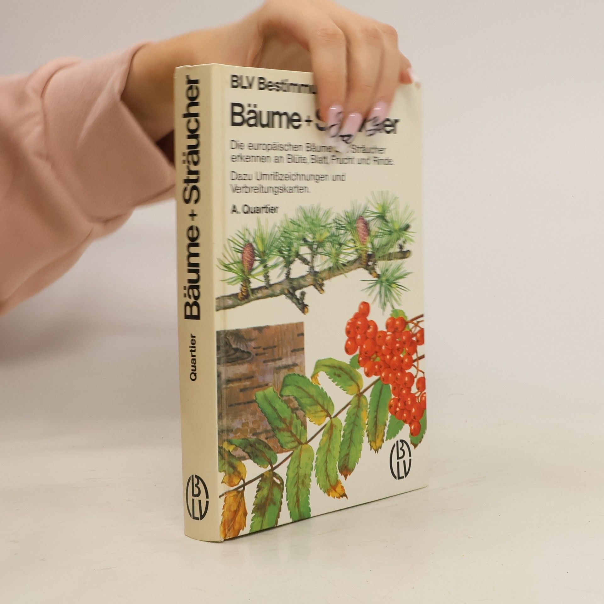Bäume + Sträucher