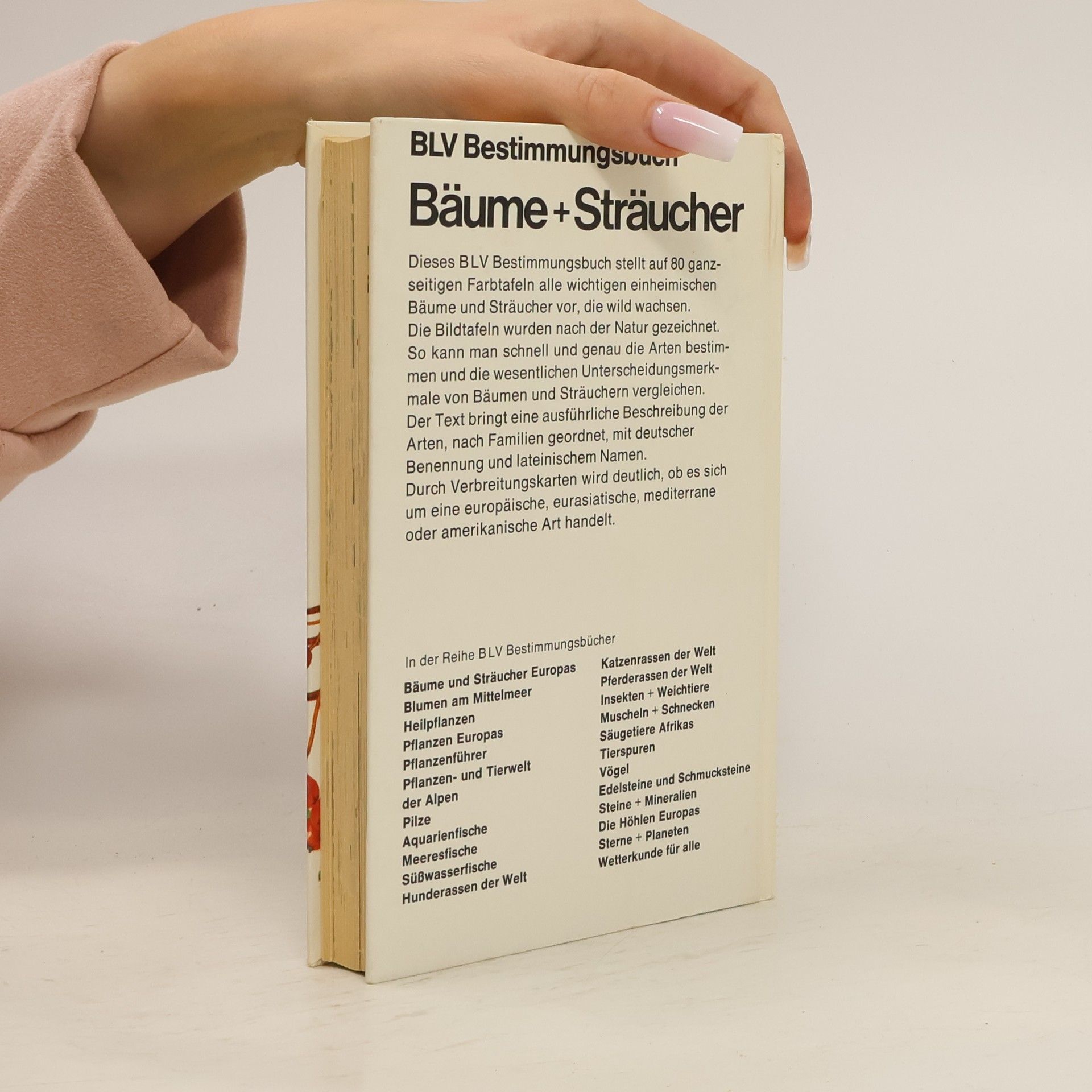 A. Quartier Bäume + Sträucher