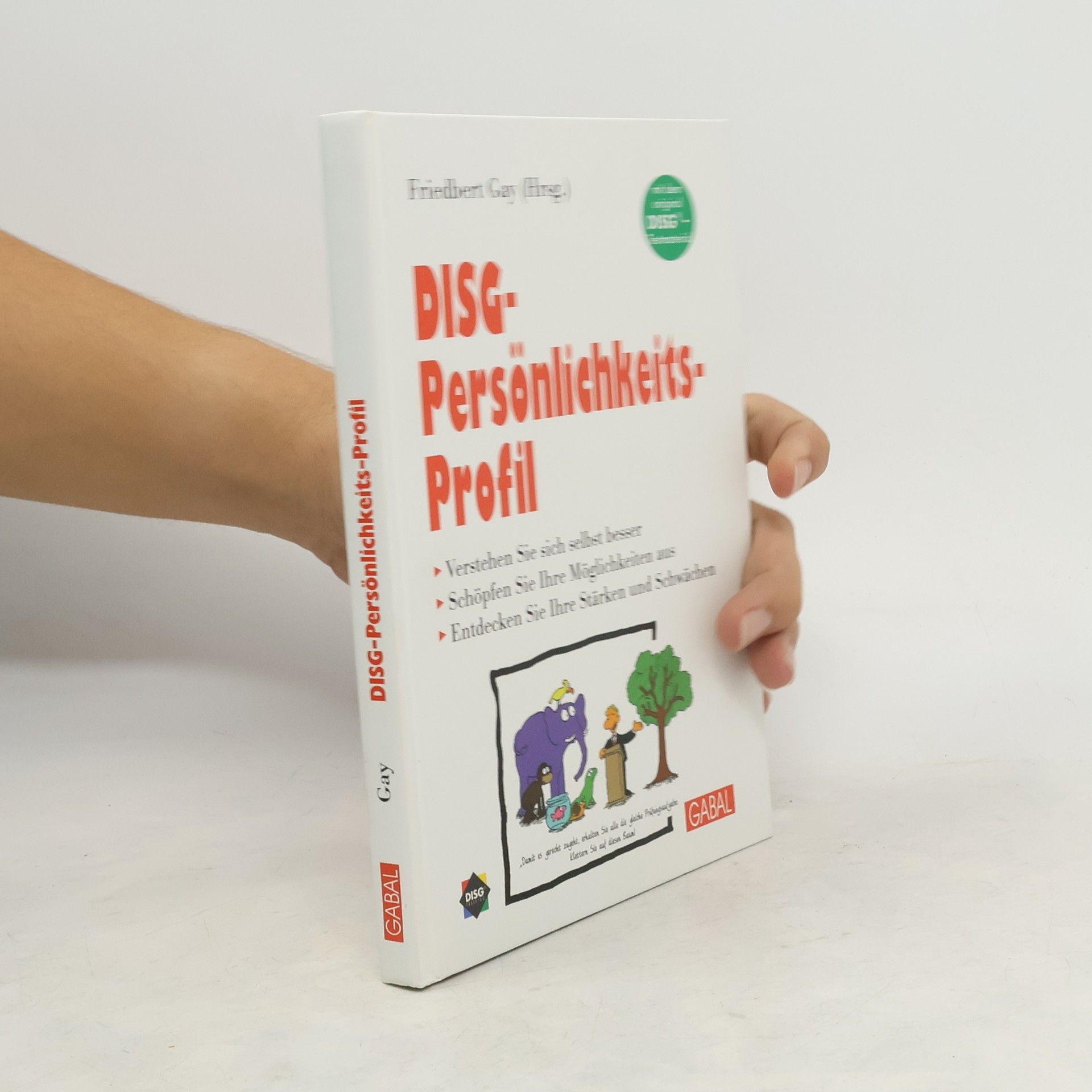 Friedbert Gay DISG-Persönlichkeits-Profil