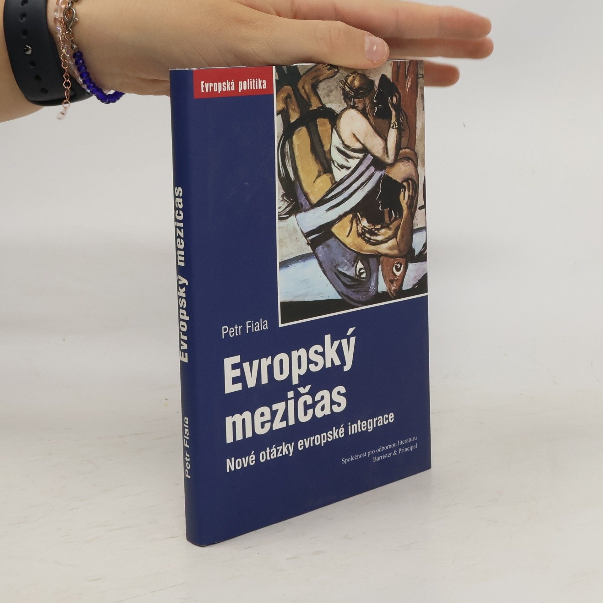 Evropský mezičas: Nové otázky evropské integrace