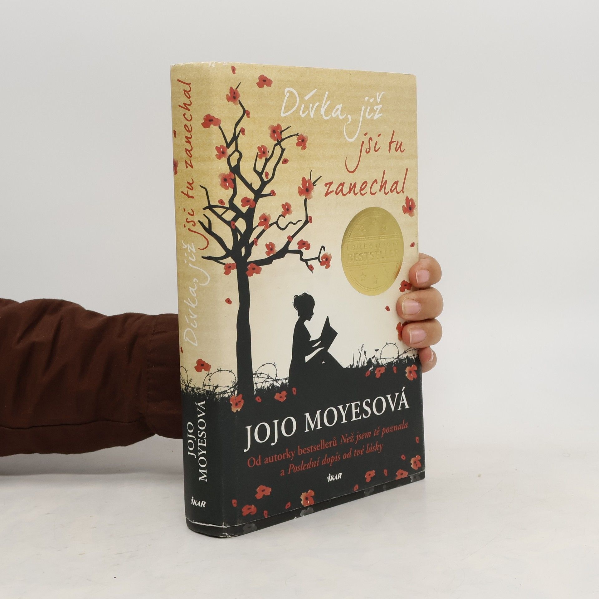 Lucie Mikolajková Dívka, již jsi tu zanechal