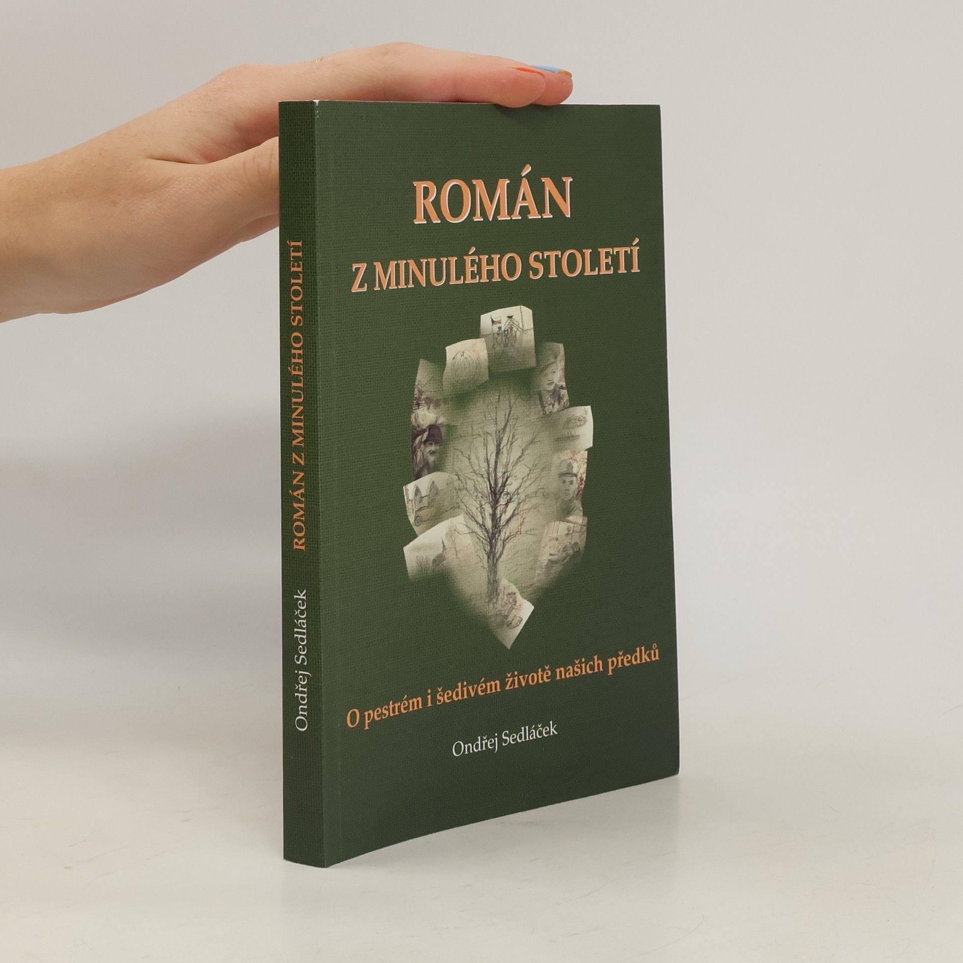 Román z minulého století - O pestrém a šedivém životě našich předků