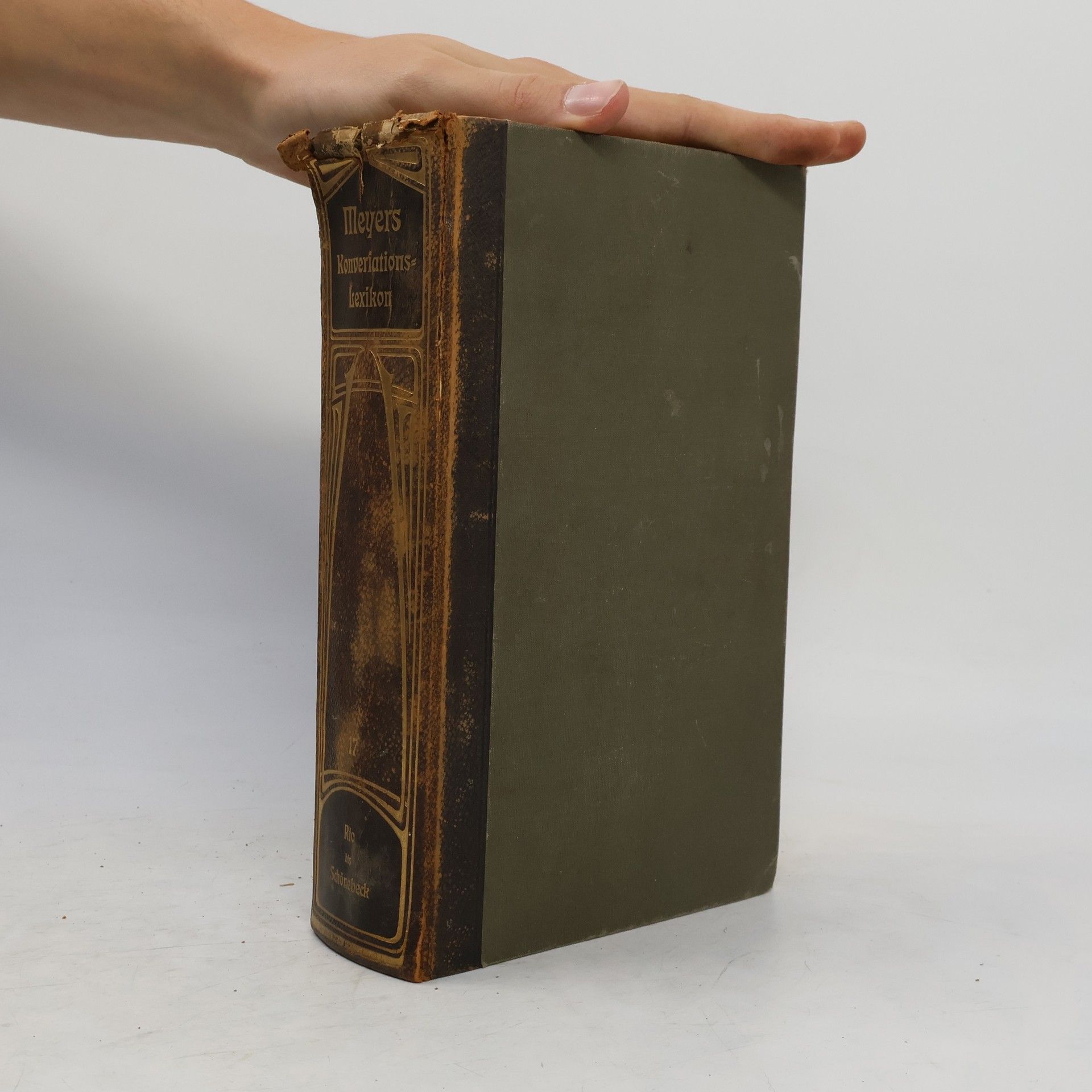 Autorenkollektiv Meyers grosses Konversations-Lexikon 17