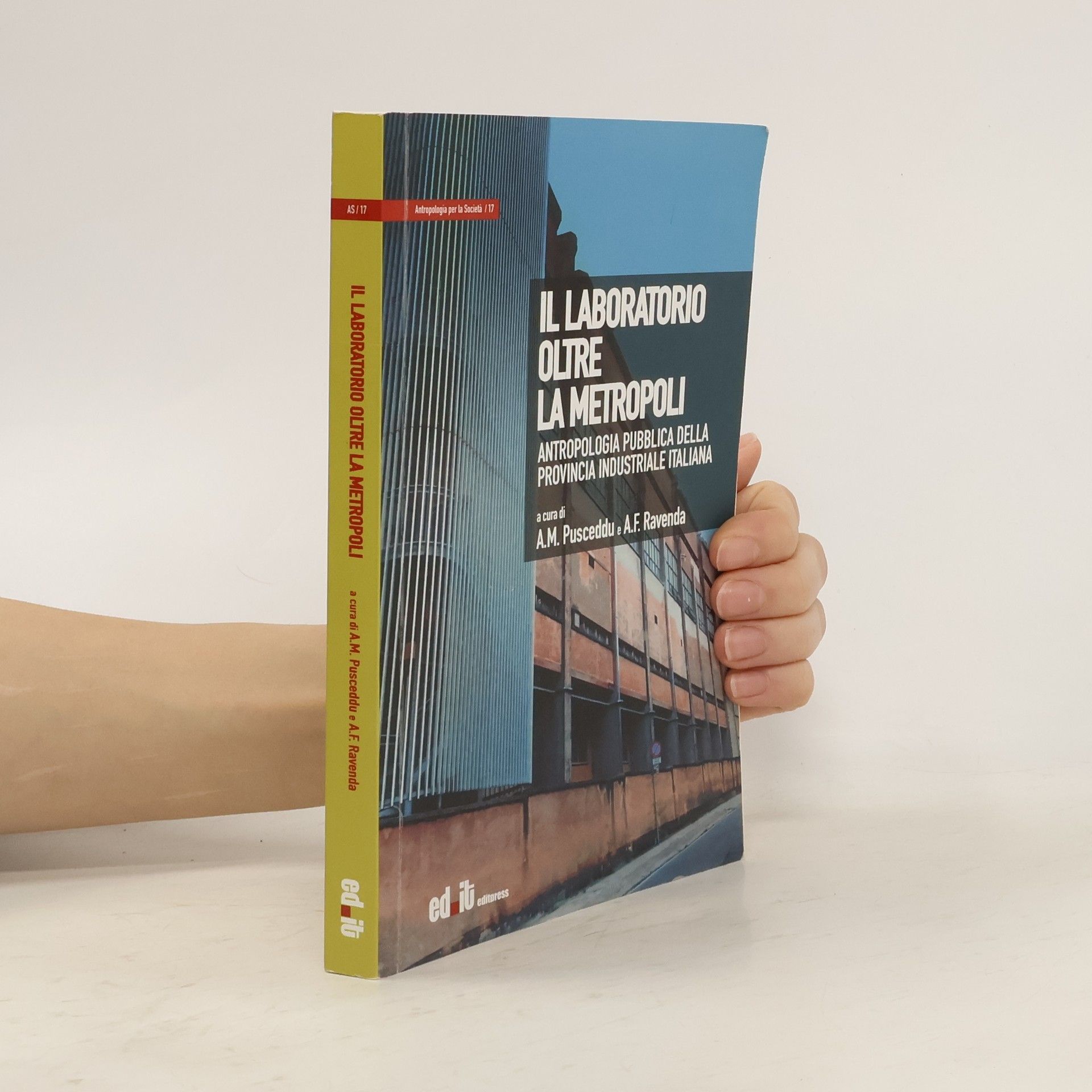 A. M. Pusceddu Il laboratorio oltre la metropoli. Antropologia pubblica della provincia industriale italiana