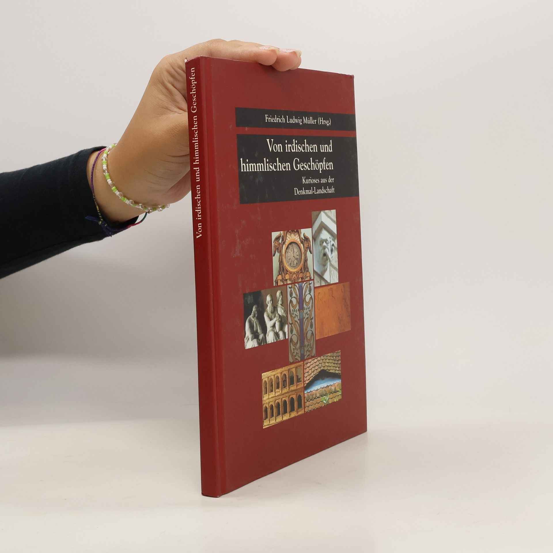 Autorenkollektiv Kurioses aus der Denkmallandschaft