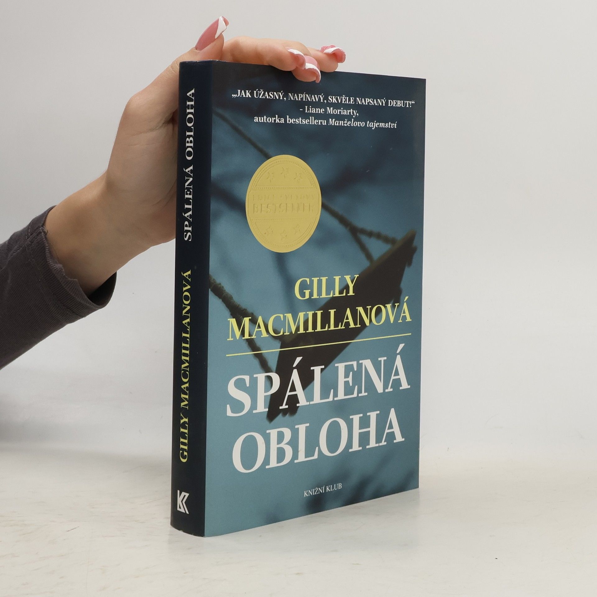 Gilly Macmillan Spálená obloha