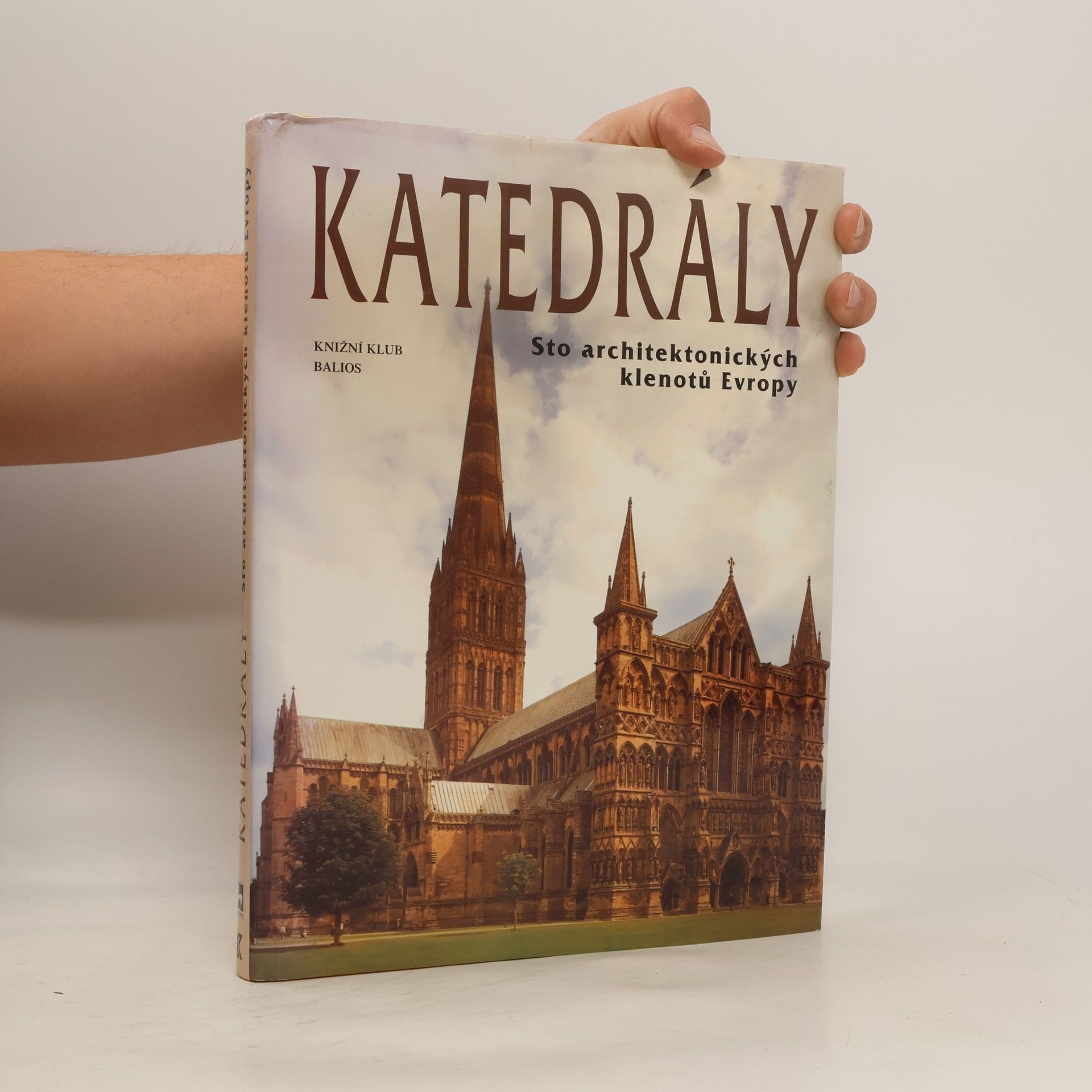 Kolektiv autorů Katedrály : sto architektonických klenotů Evropy