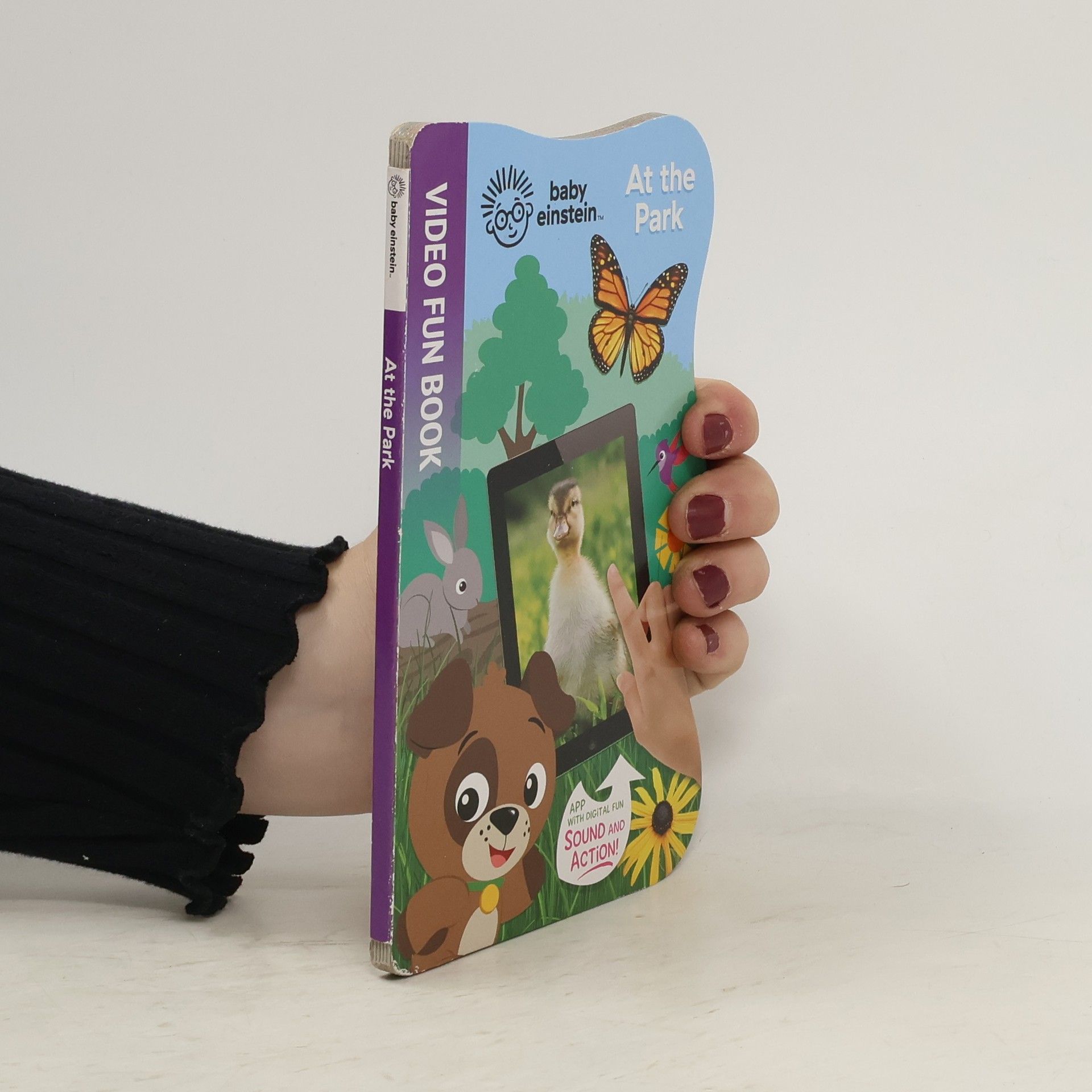 AA.VV. Baby Einstein. At the Park