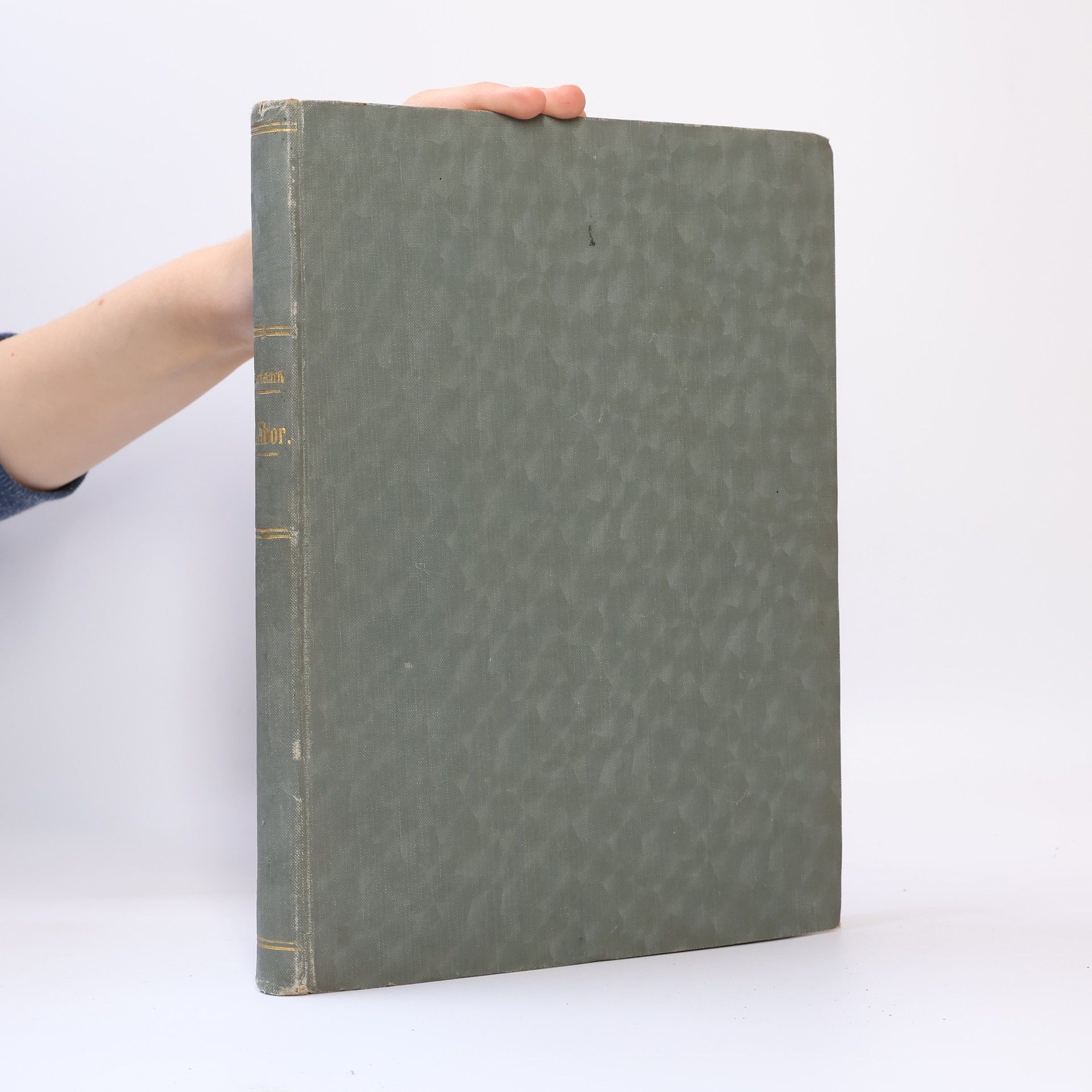 Bedřich Smetana Dalibor. Opera o 3 jednáních