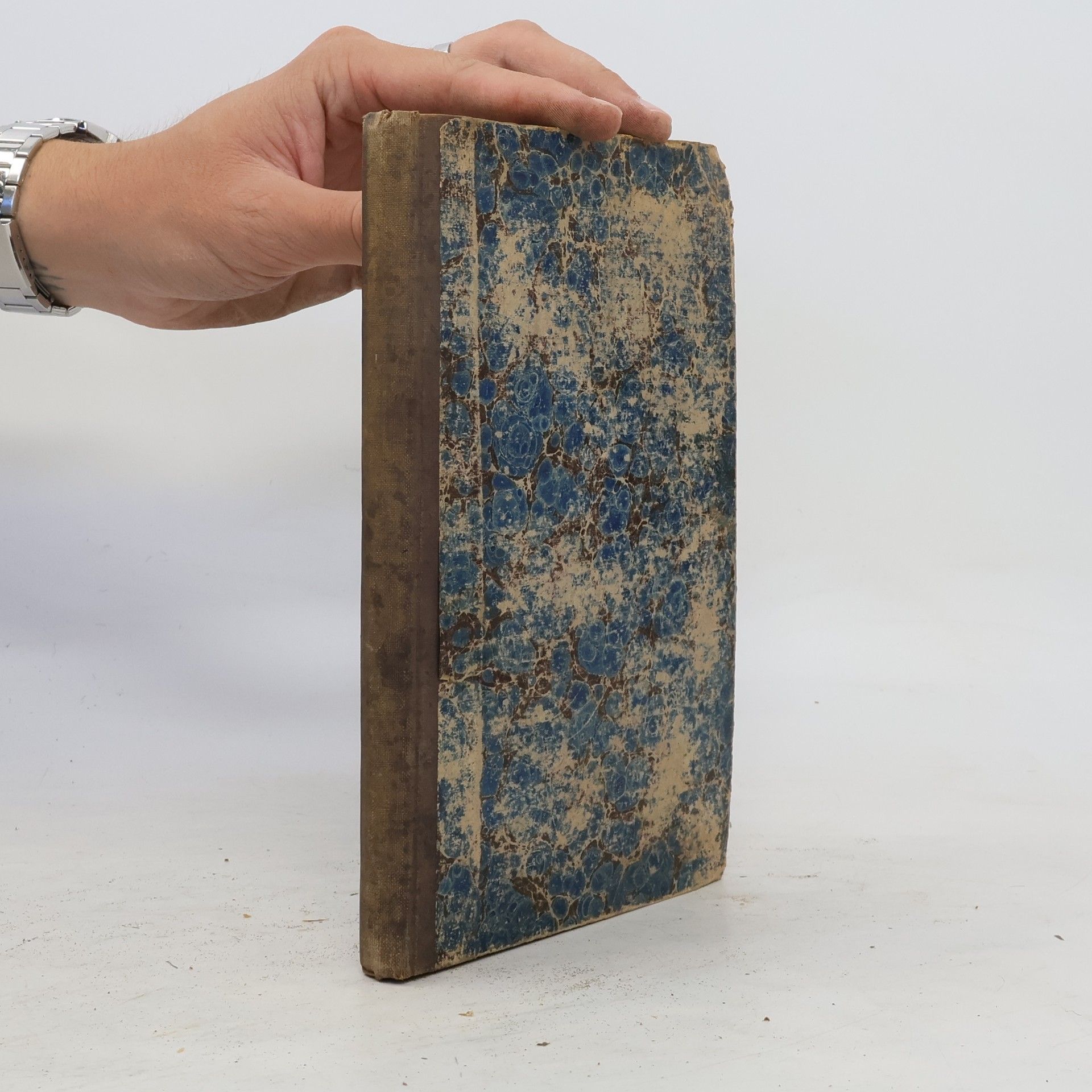 Johann Moriz Chlupp Systematisches handbuch der direkten steuern in den vom reichsrathe vertretenen kẅonigreichen und ländern der österreichisch-ungarischen monarchie