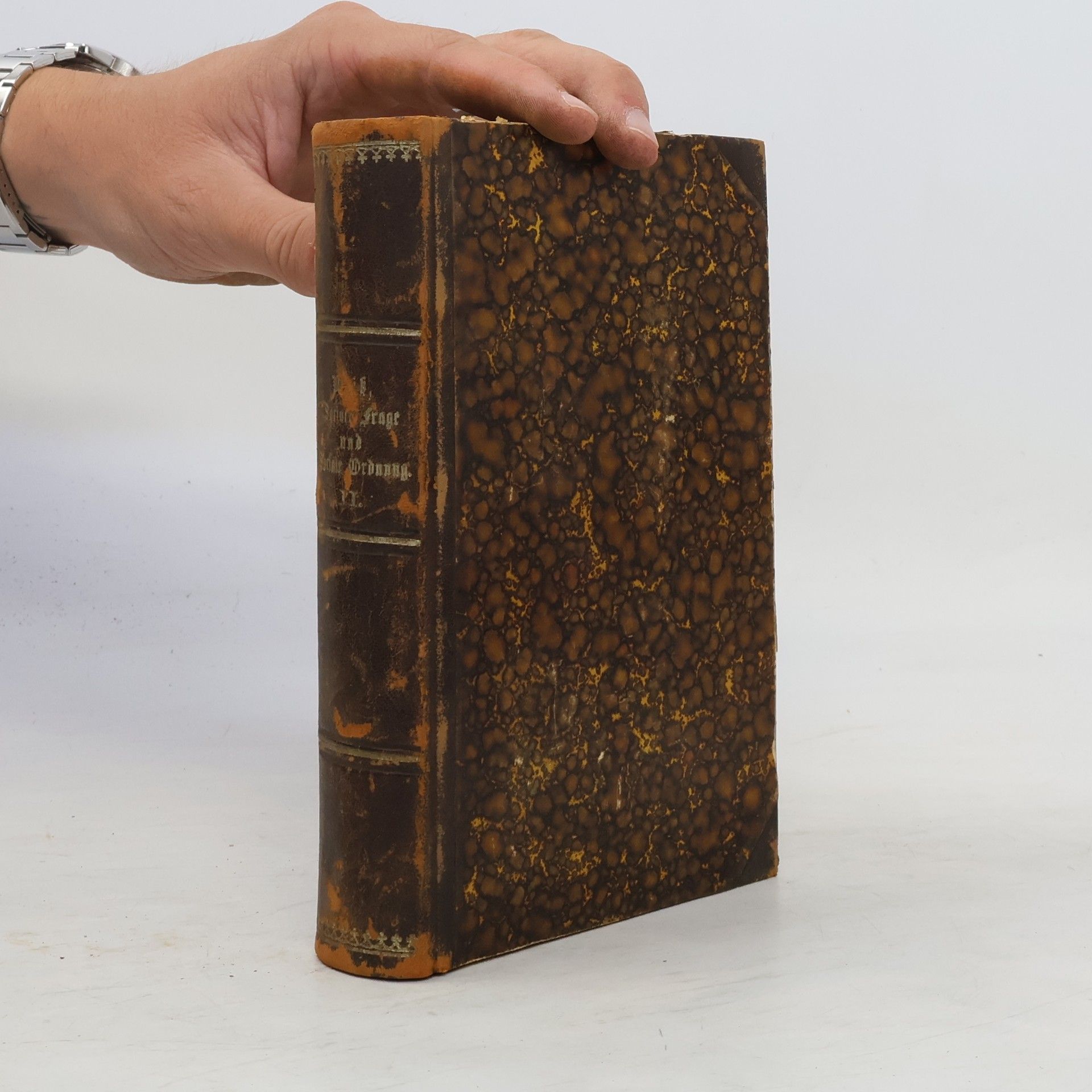 Albert Maria Weiss Soziale Frage und soziale Ordnung