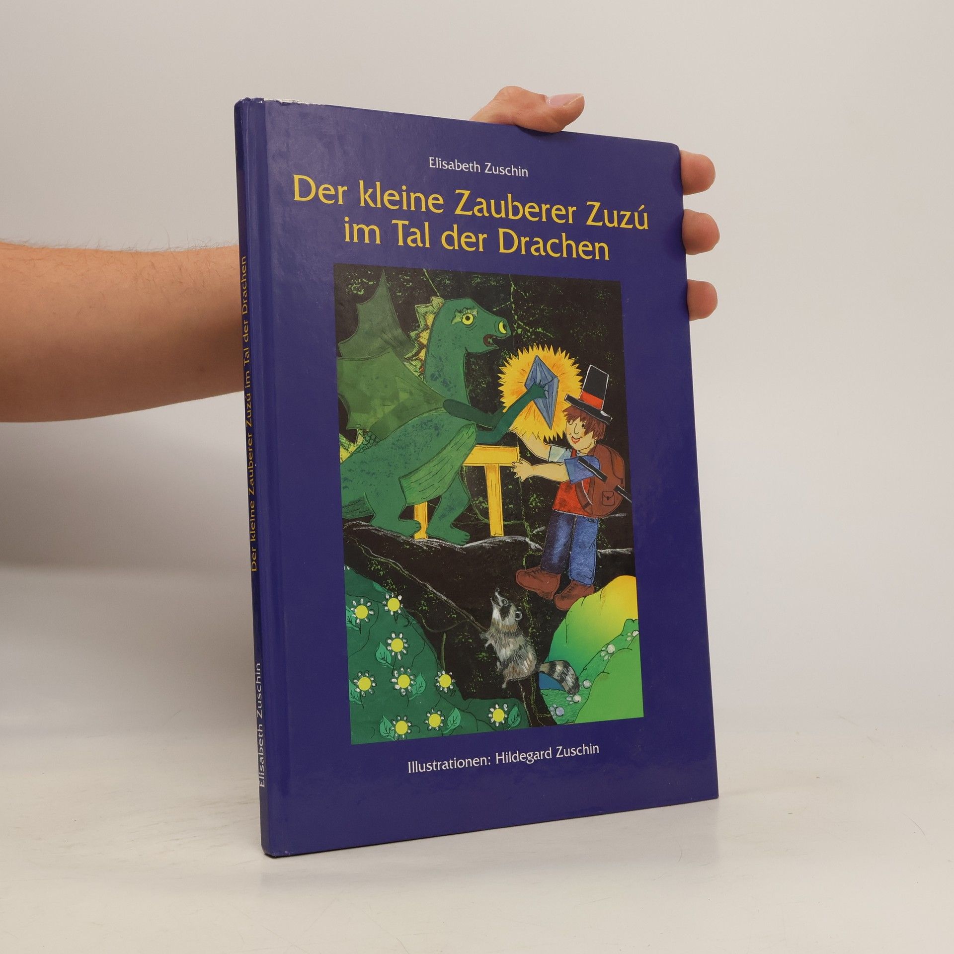 Elisabeth Zuschin Der kleine Zauberer Zuzú im Tal der Drachen