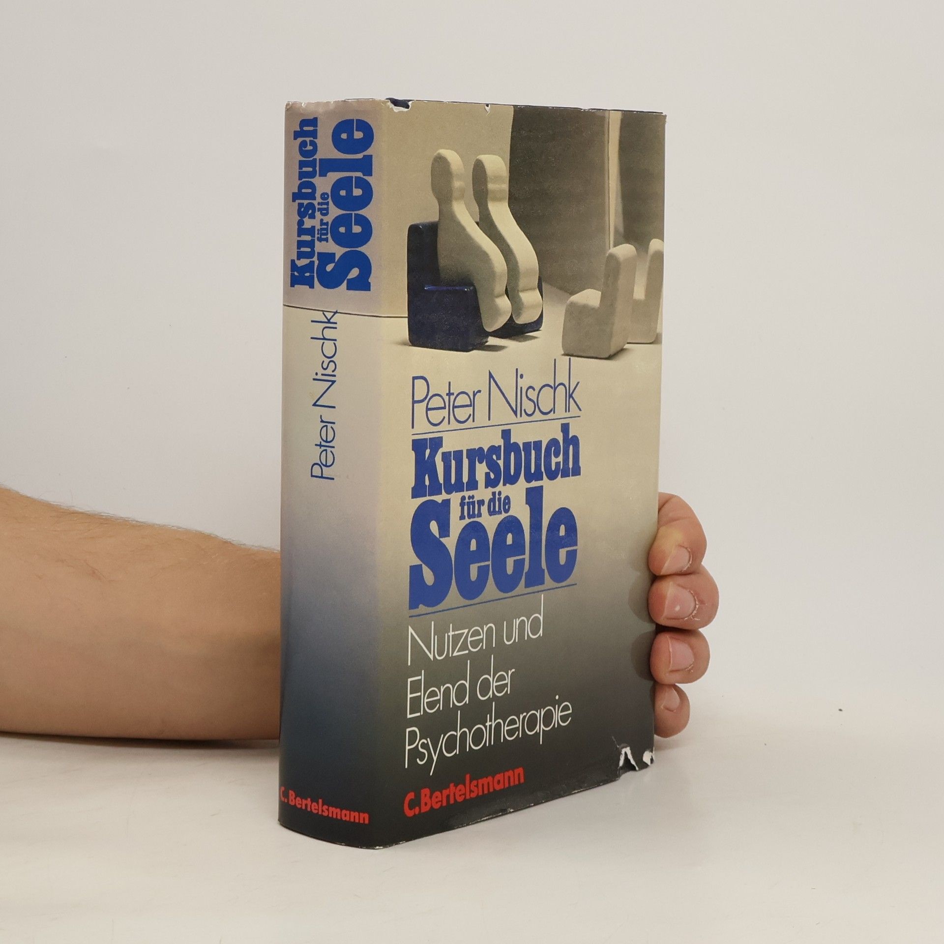 Peter Nischk Kursbuch für die Seele