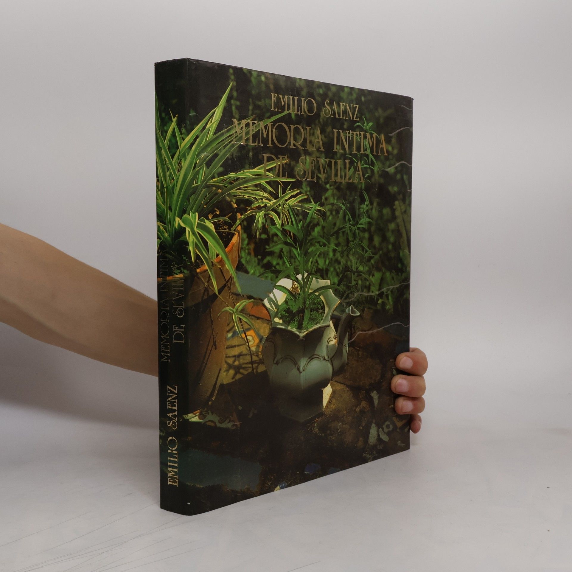 Emilio Saénz-Francés San Baldomero Memoria intima de Sevilla
