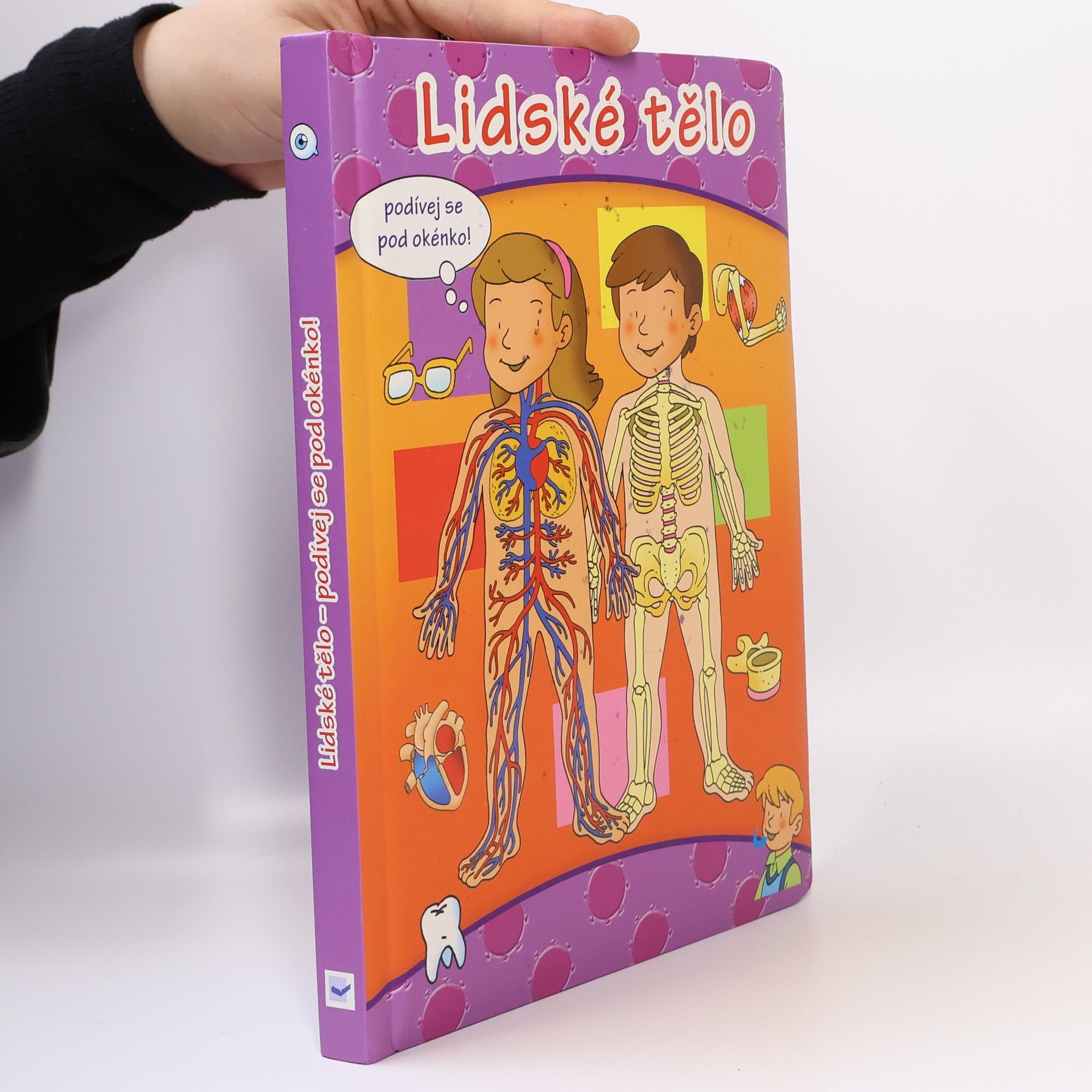 Various authors Lidské tělo – podívej se pod okénko!