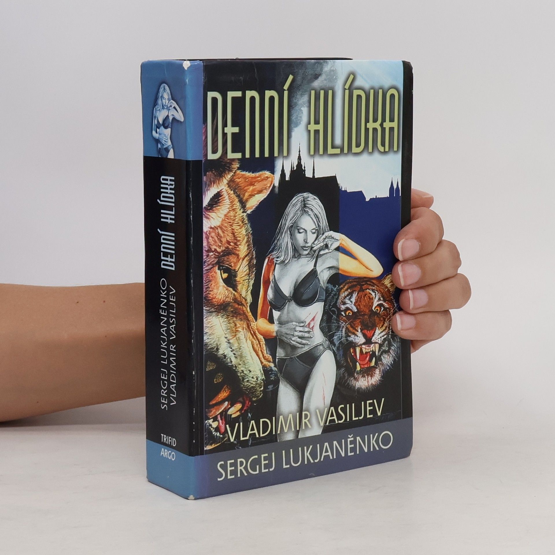 Sergej Vasiljevič Lukjaněnko Denní hlídka