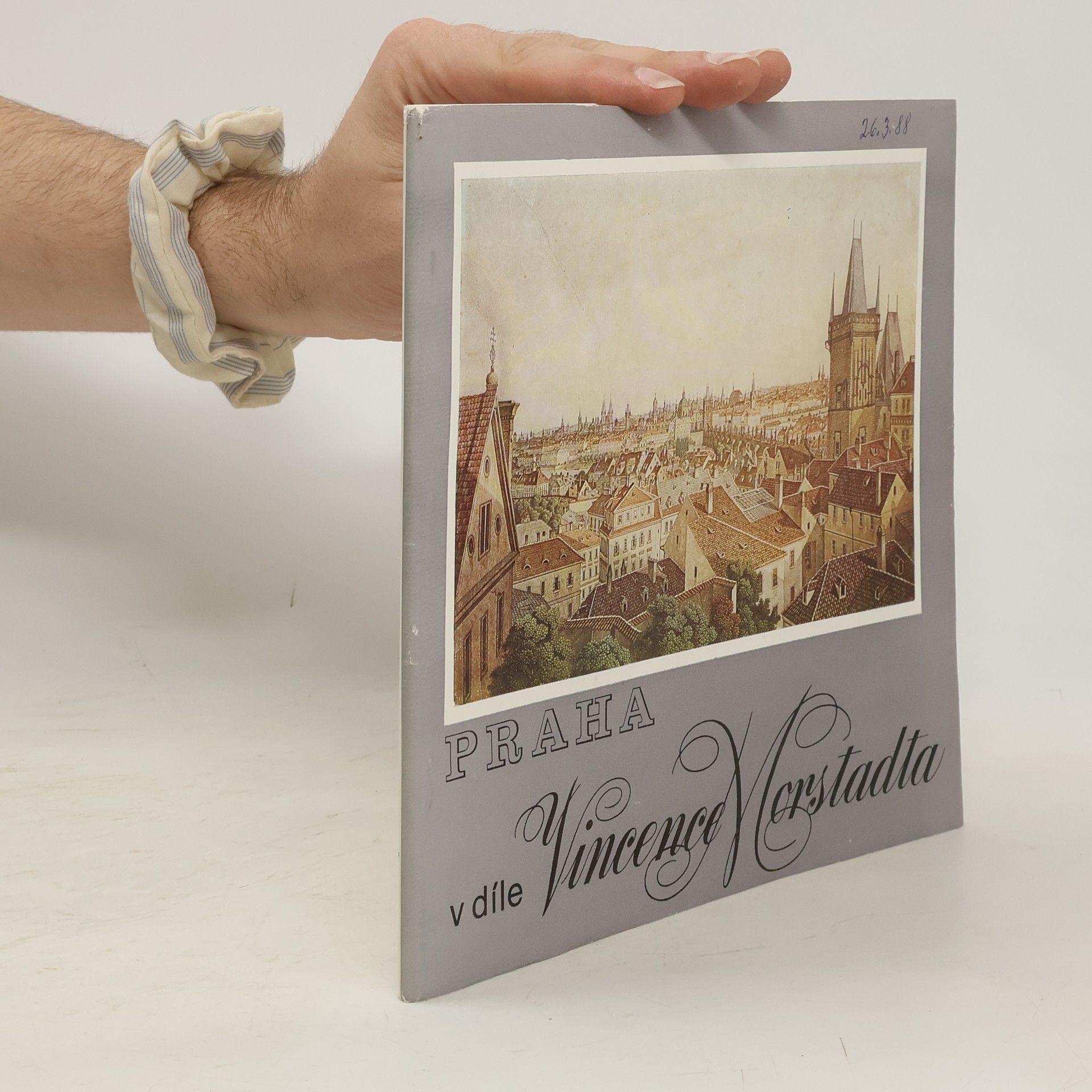 Collectif d'auteurs Praha v díle Vincence Morstadta