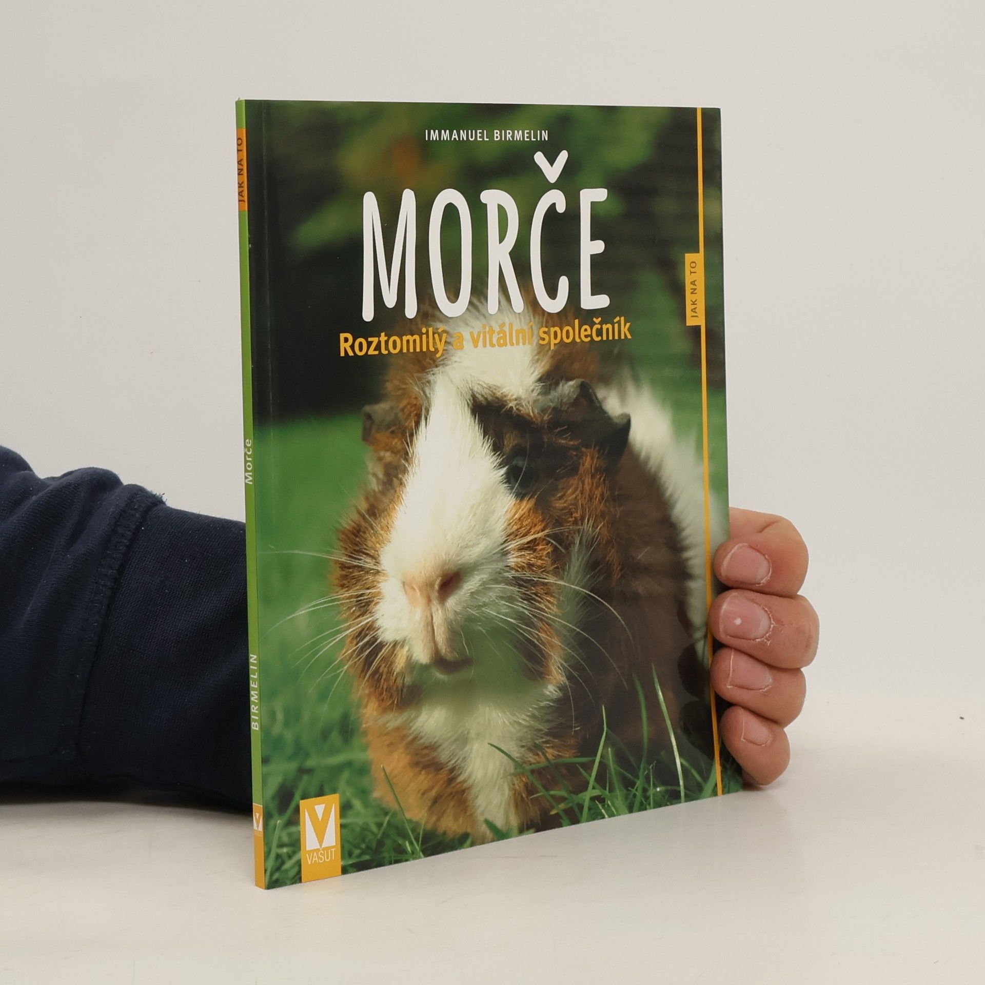 Immanuel Birmelin Morče. Roztomilý a vitální společník