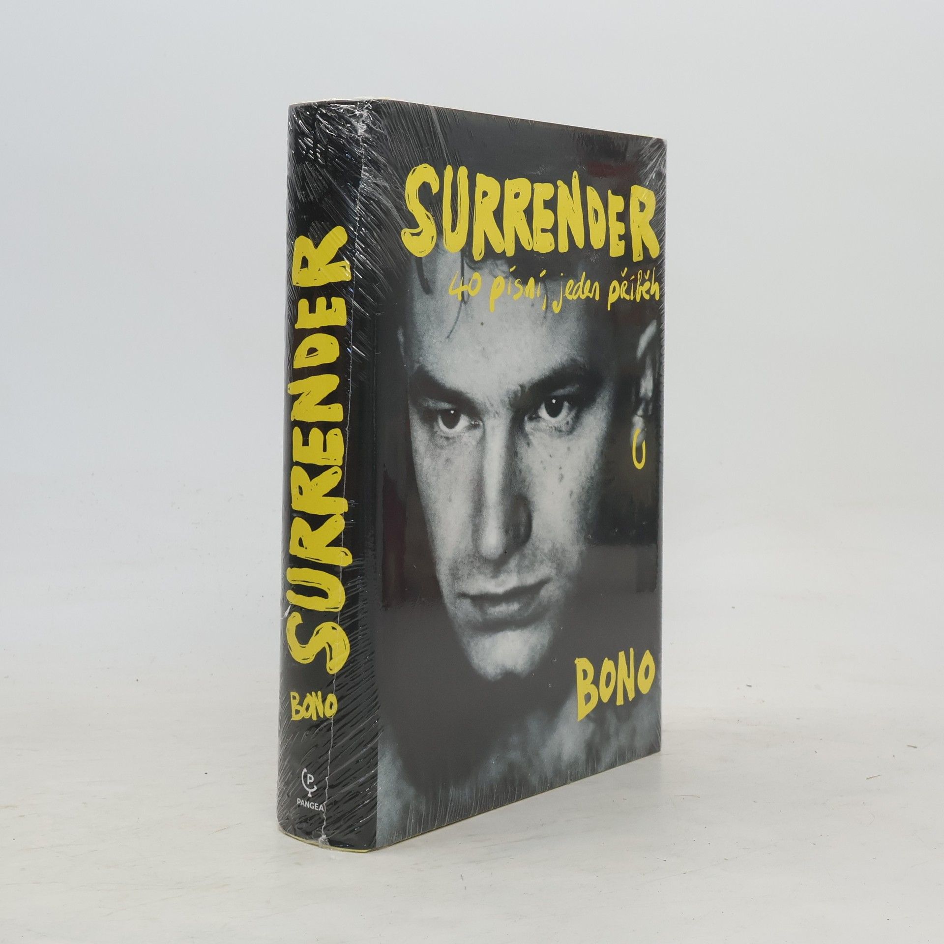 Bono Surrender : 40 písní, jeden příběh