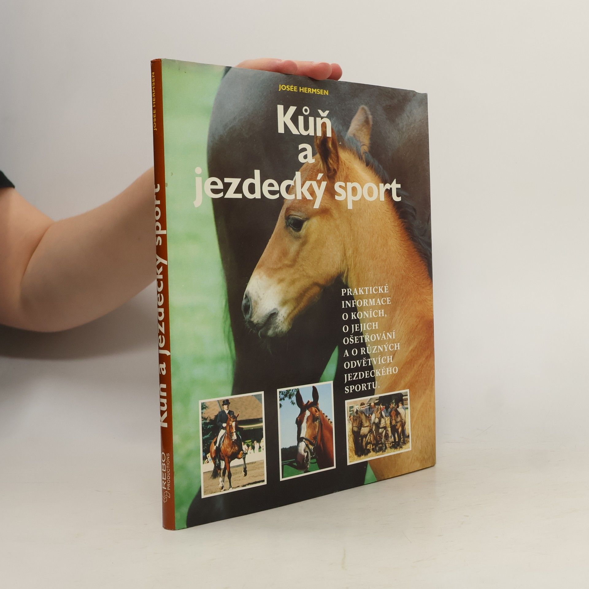 Josée Hermsen Kůň a jezdecký sport