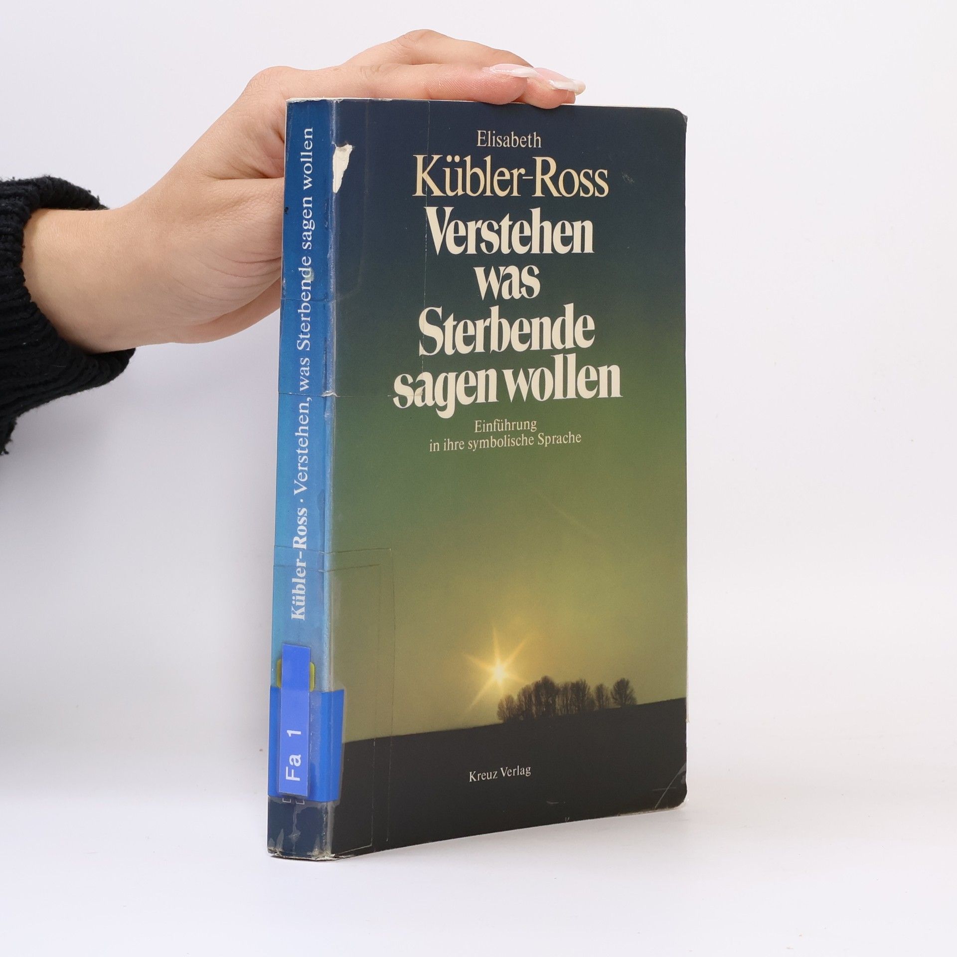 Elisabeth Kübler-Rossová Verstehen, was Sterbende sagen wollen