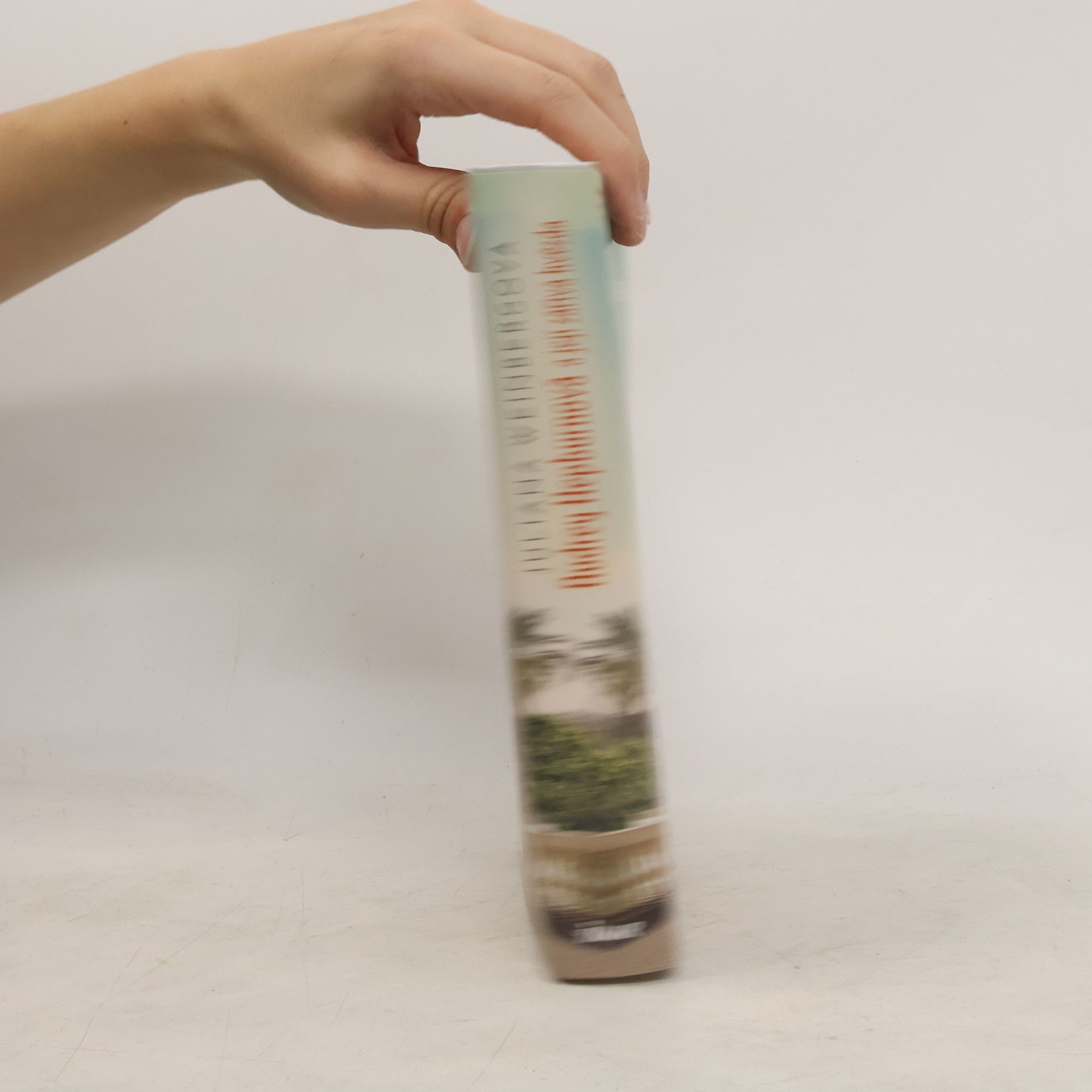 Juliana Weinberg Audrey Hepburnová a její zářivá hvězda