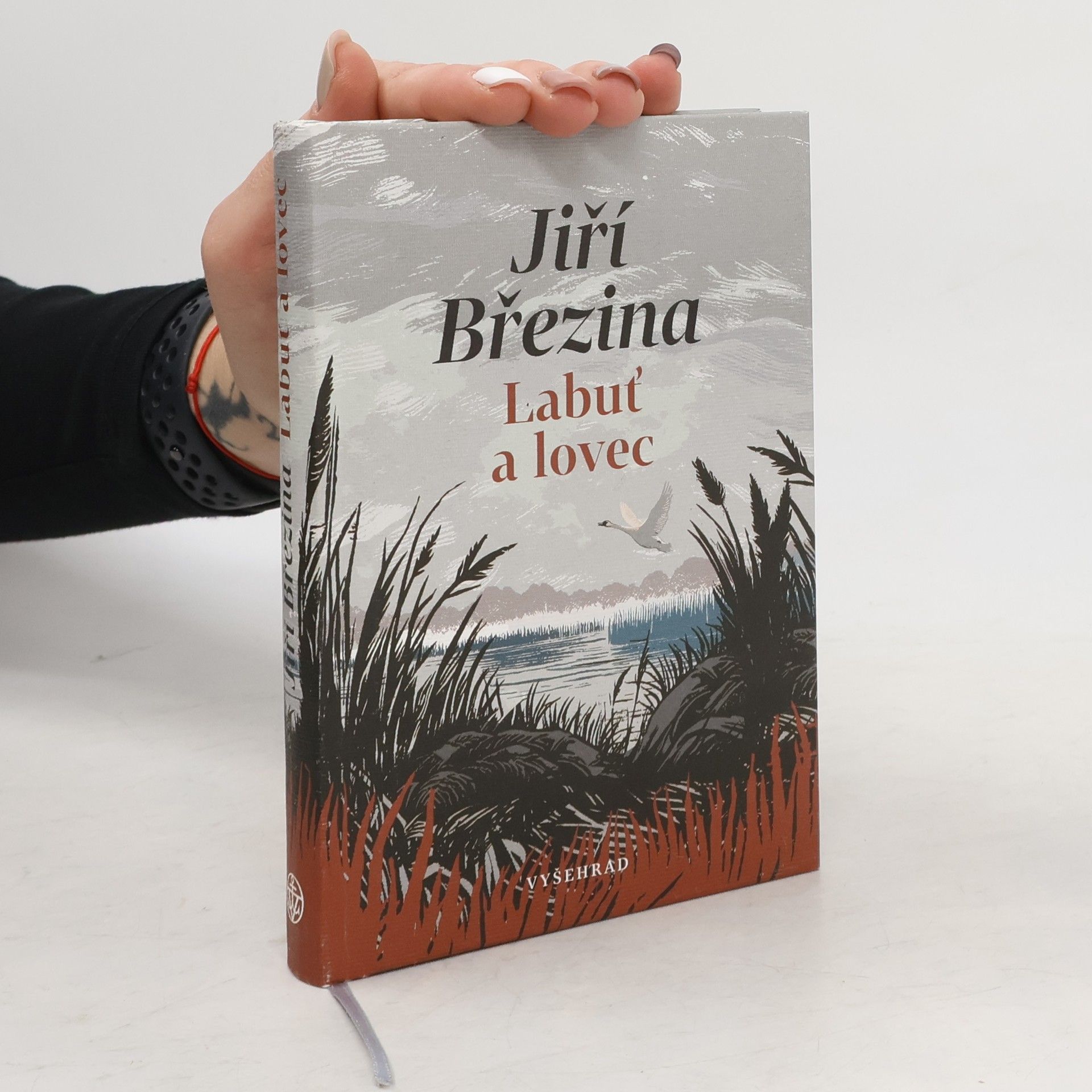 Jiří Březina Labuť a lovec