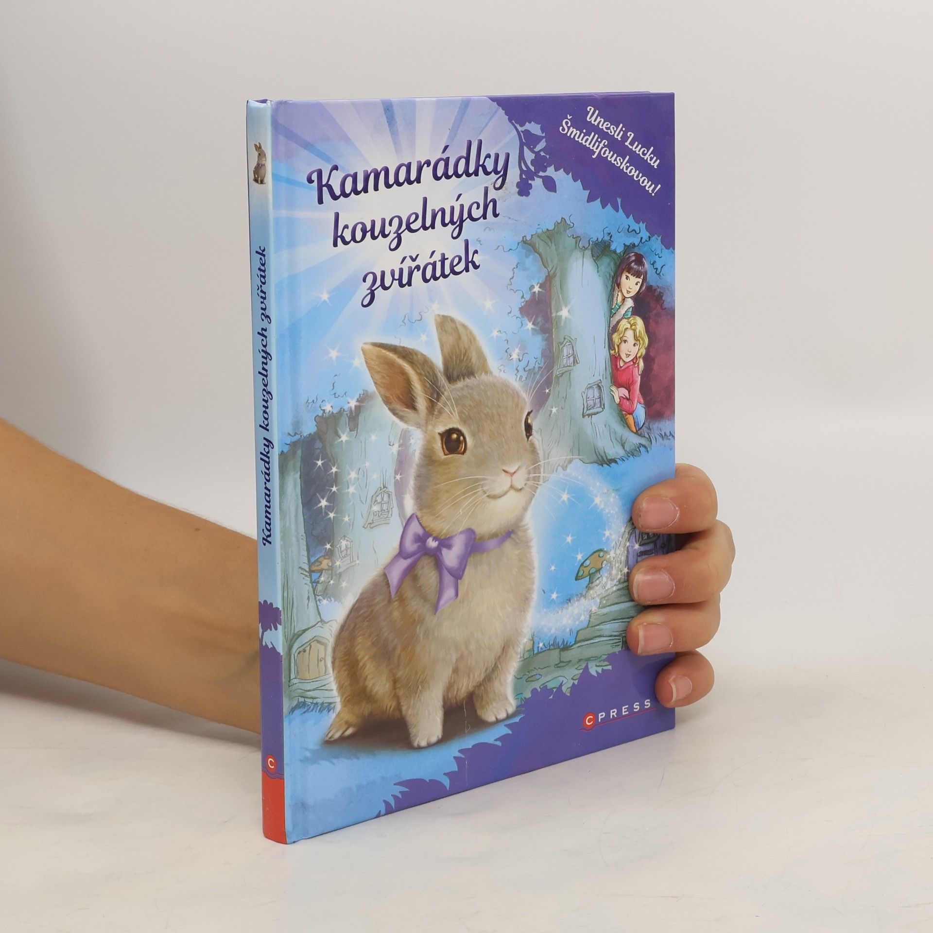 Daisy Meadows Kamarádky kouzelných zvířátek: Unesli Lucku Šmidlifouskovou!