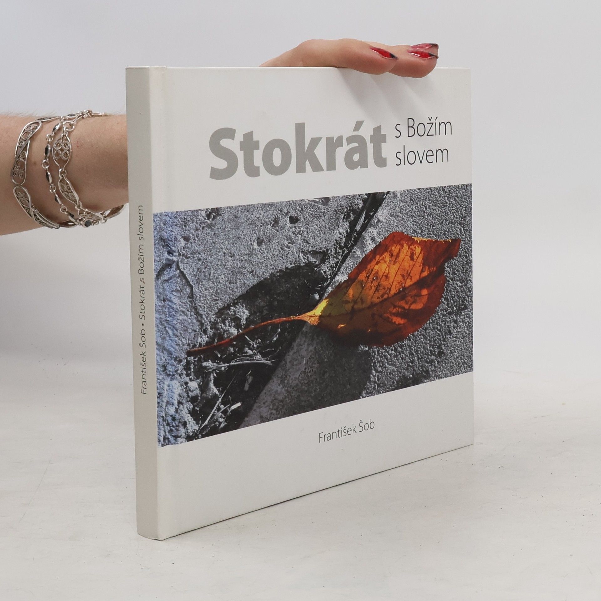 František Šob Stokrát s Božím slovem