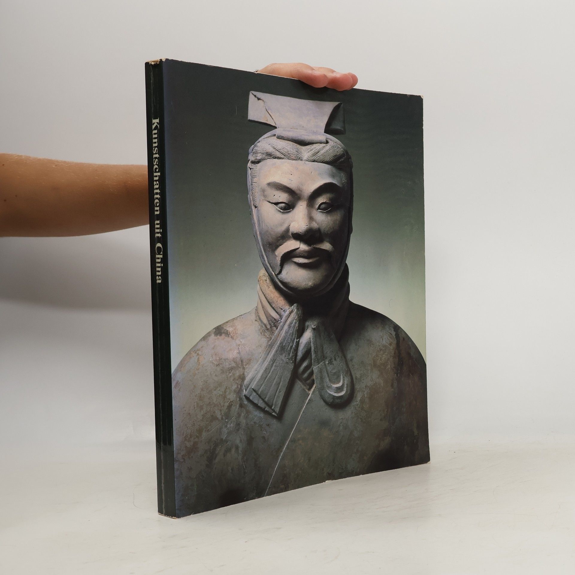 Paul Delmotte Kunstschatten uit China