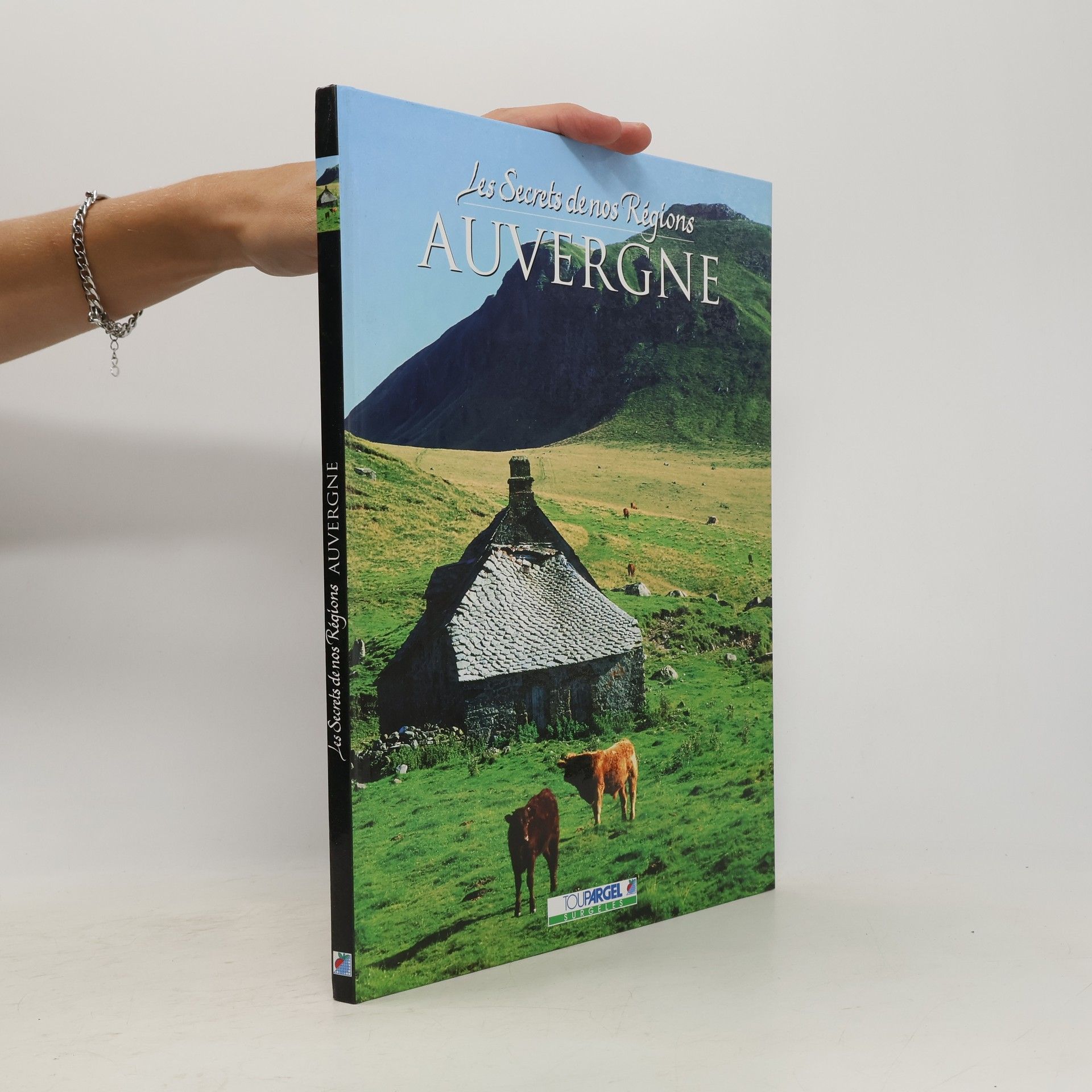 Collectif d'auteurs Les Secrets de nos Régions. Auvergne