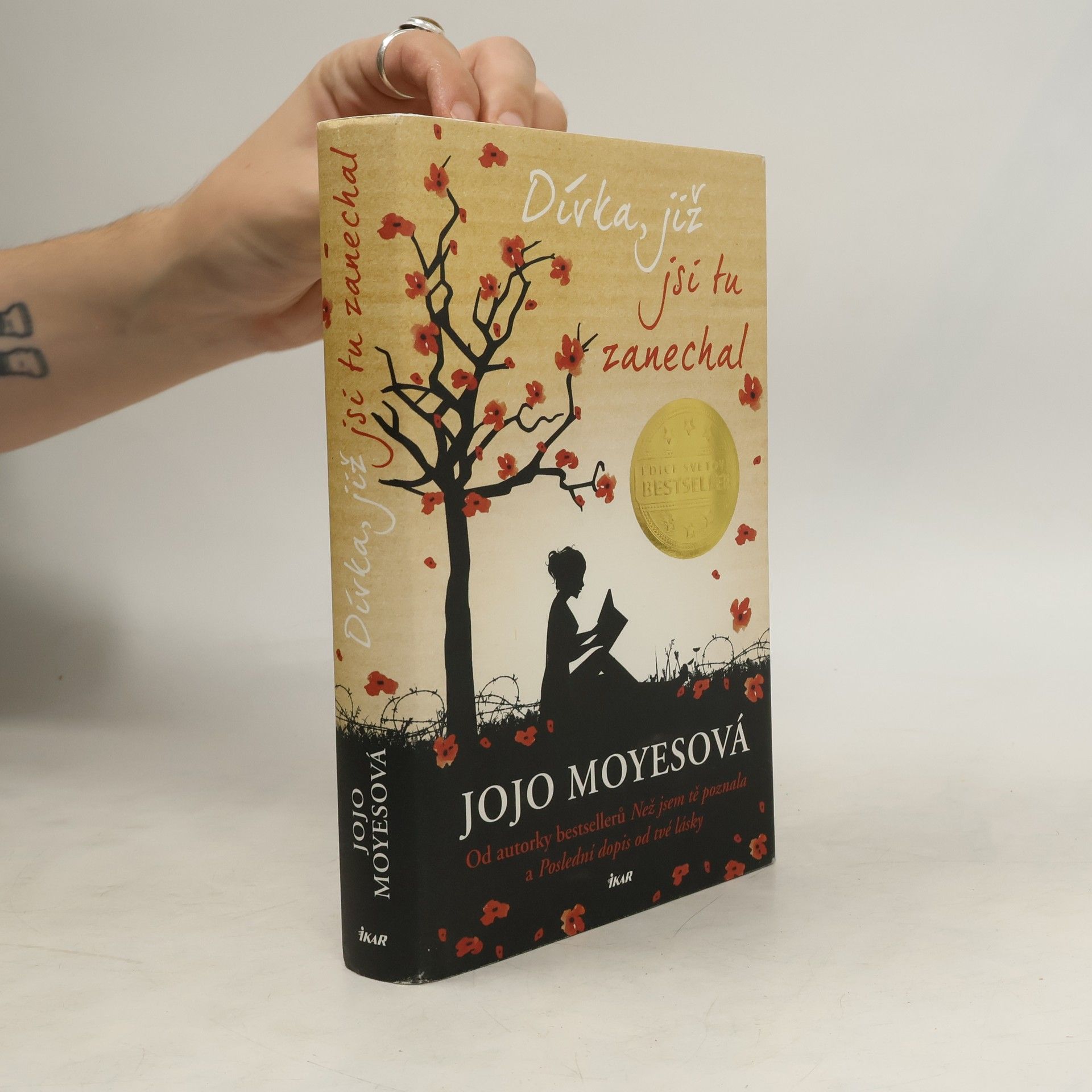 Dívka, již jsi tu zanechal