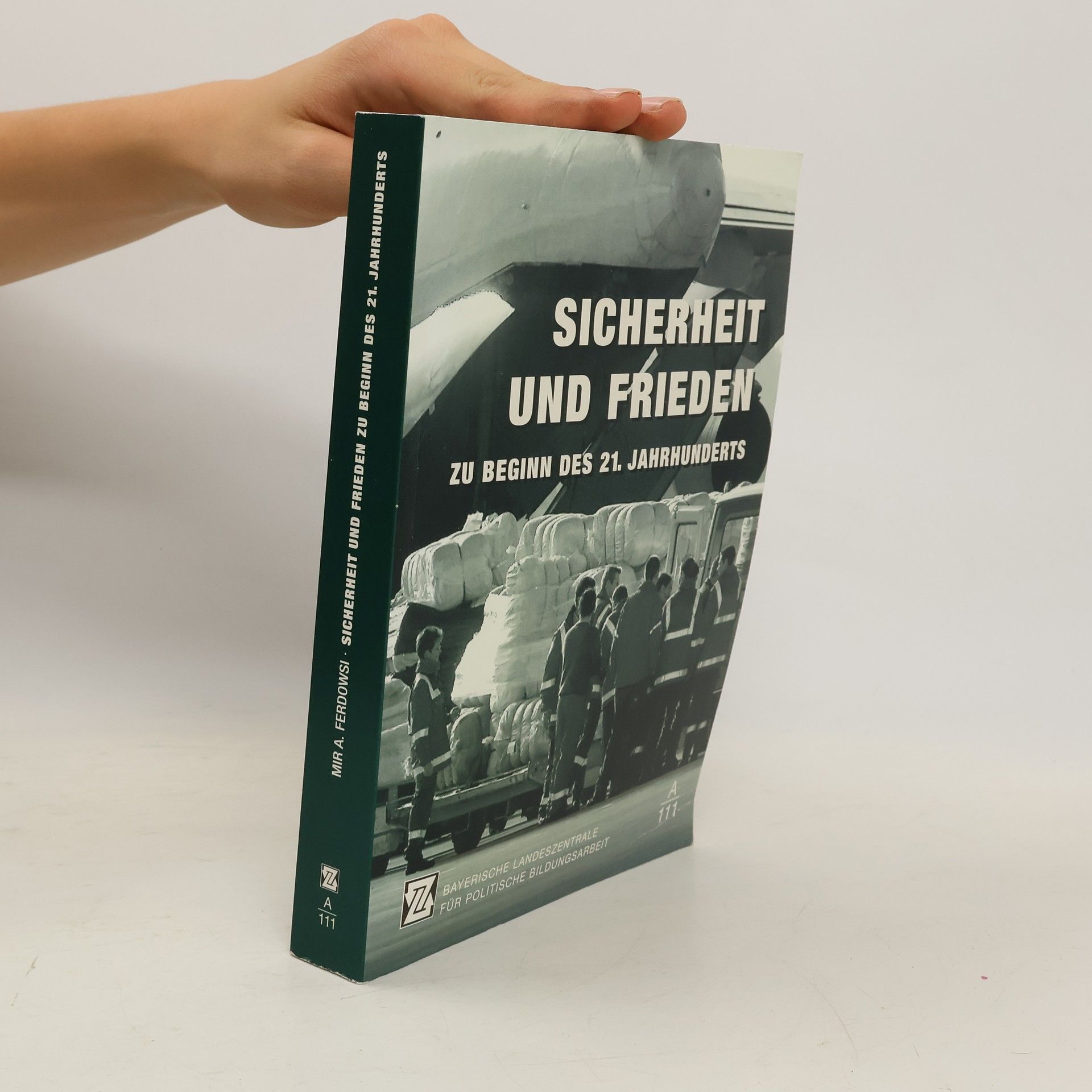 AA.VV. Sicherheit und Frieden zu Beginn des 21. Jahrhunderts