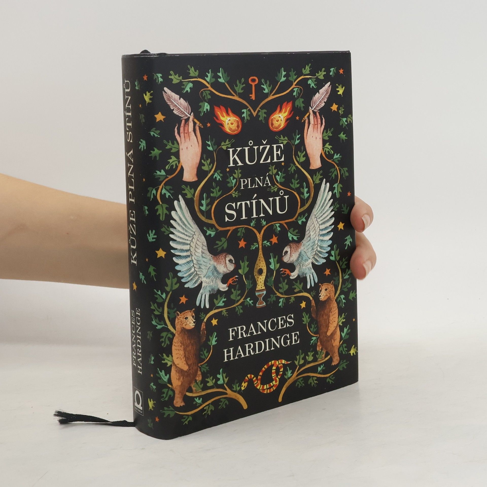 Frances Hardinge Kůže plná stínů