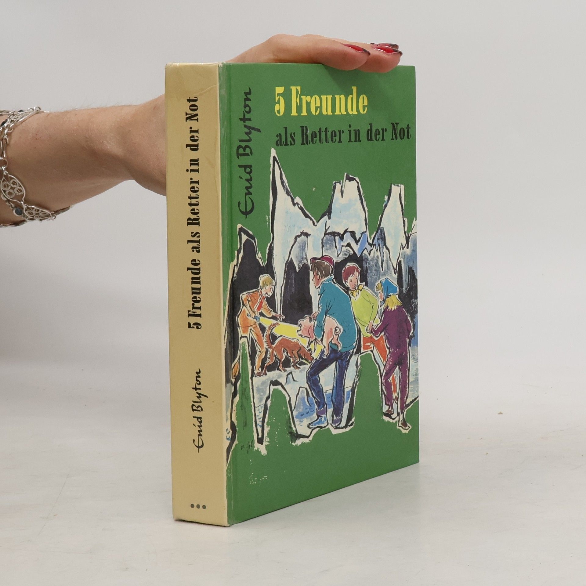 Enid Blyton 5 Freunde als Retter in der Not