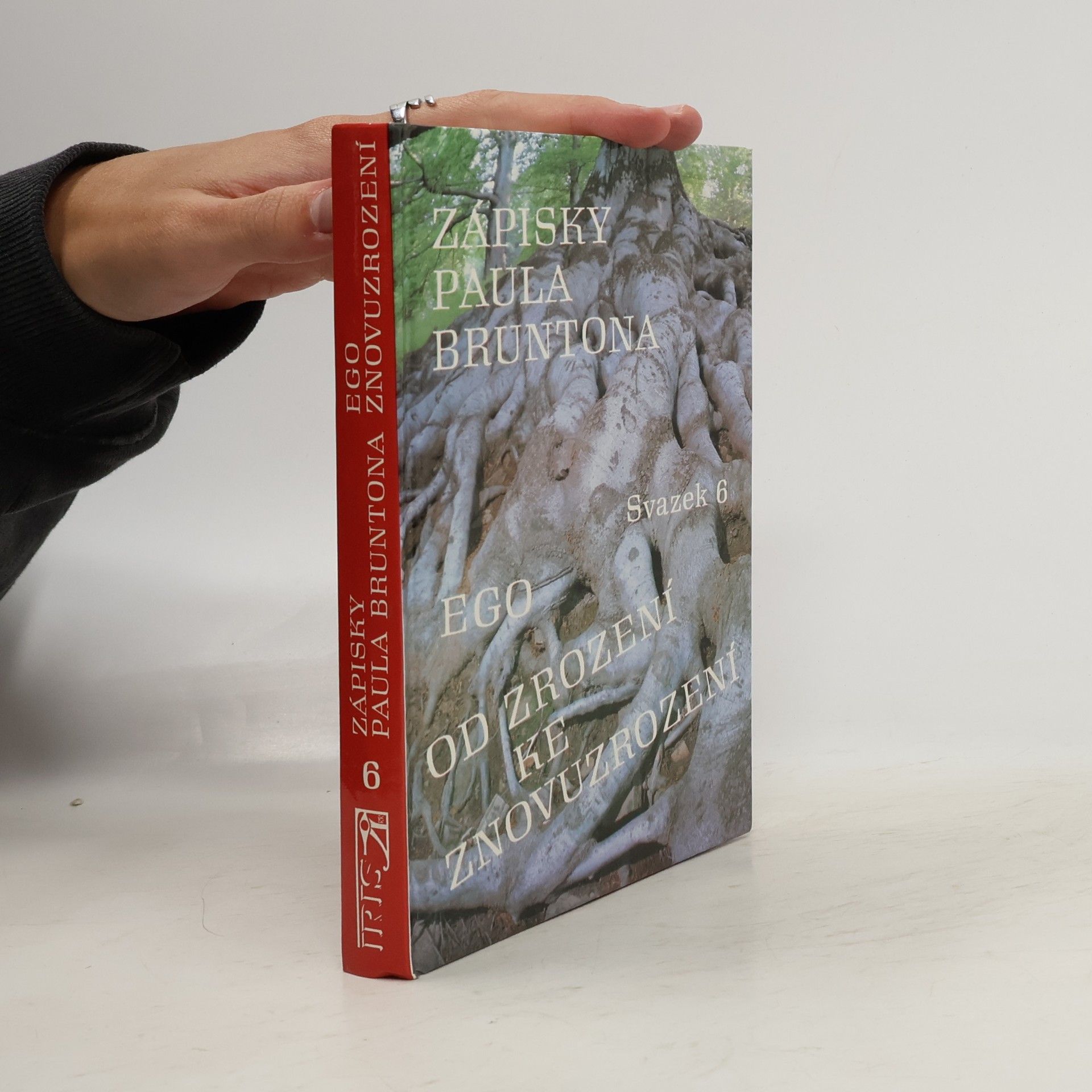 Paul Brunton Ego. Od zrození ke znovuzrození. Zápisky Paula Bruntona. (Svazek 6)