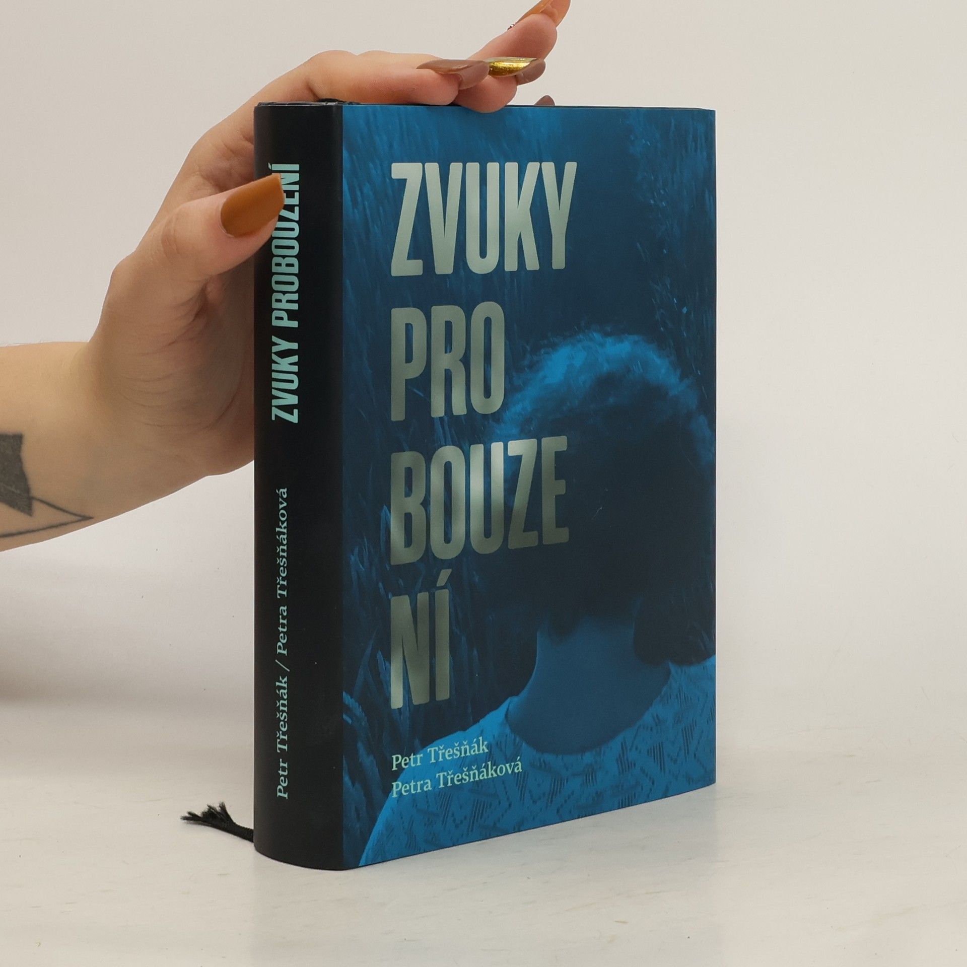 Petr Třešňák Zvuky probouzení