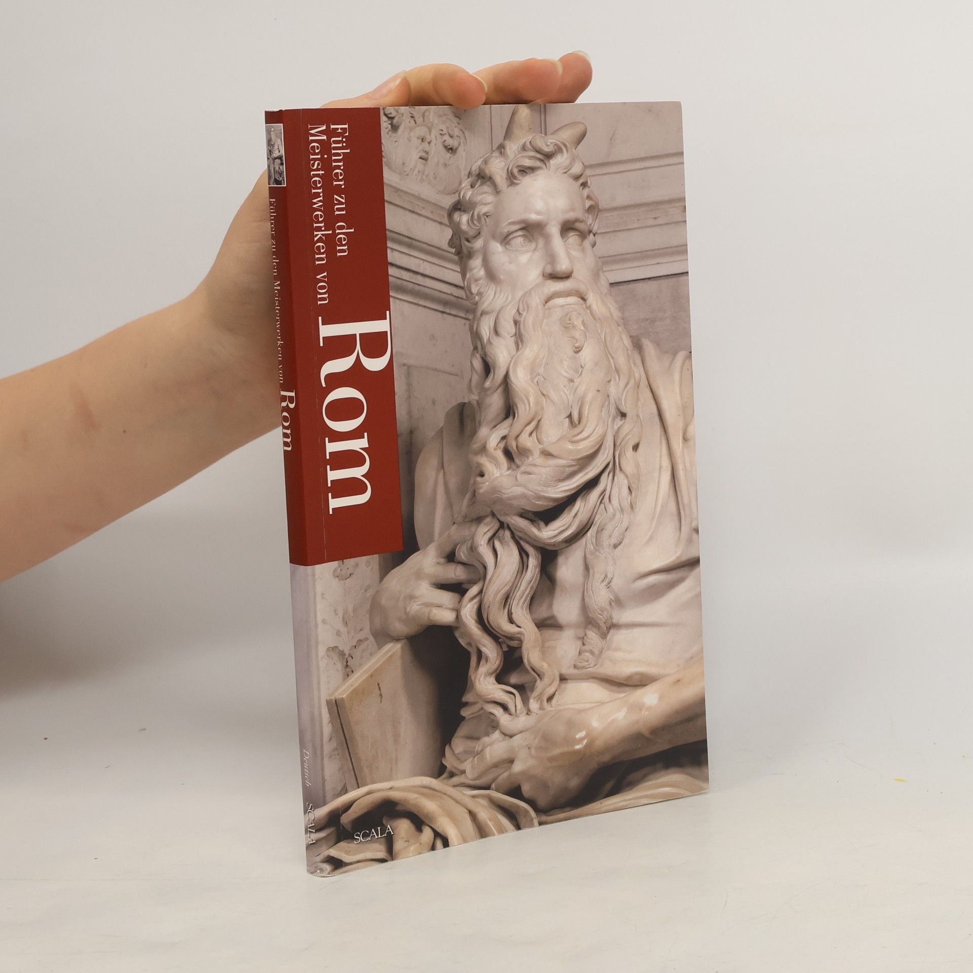 AA.VV. Führer zu den Meisterwerken von Rom