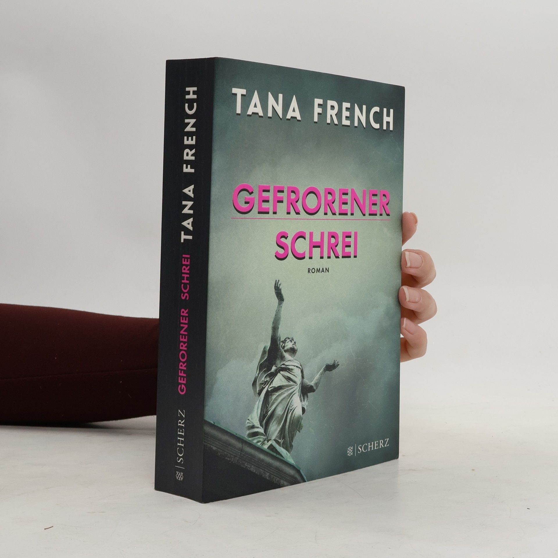 Tana French Gefrorener Schrei