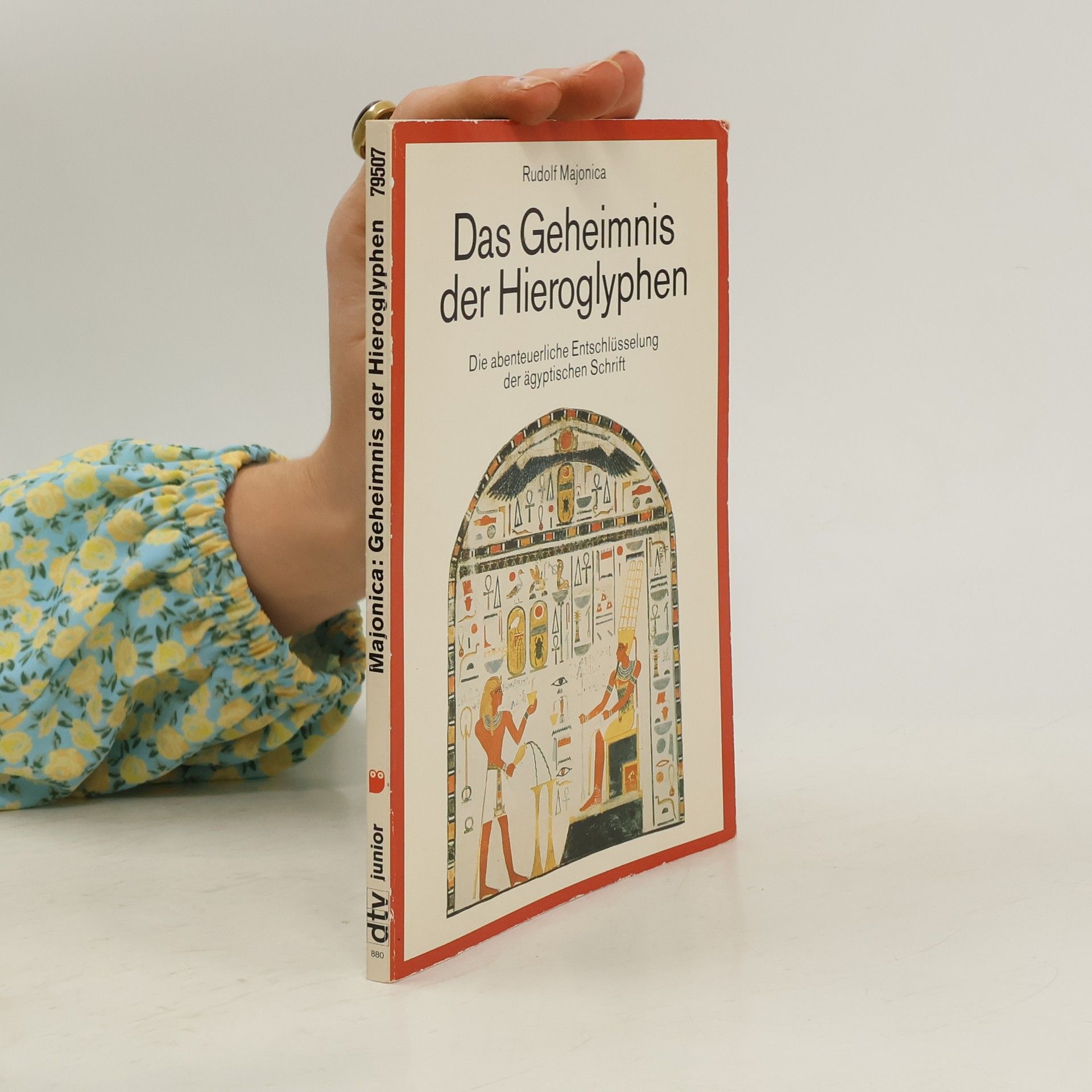 Das Geheimnis der Hieroglyphen. Die abenteuerl. Entschlüsselung d. ägypt. Schrift durch Jean Francois Champollion