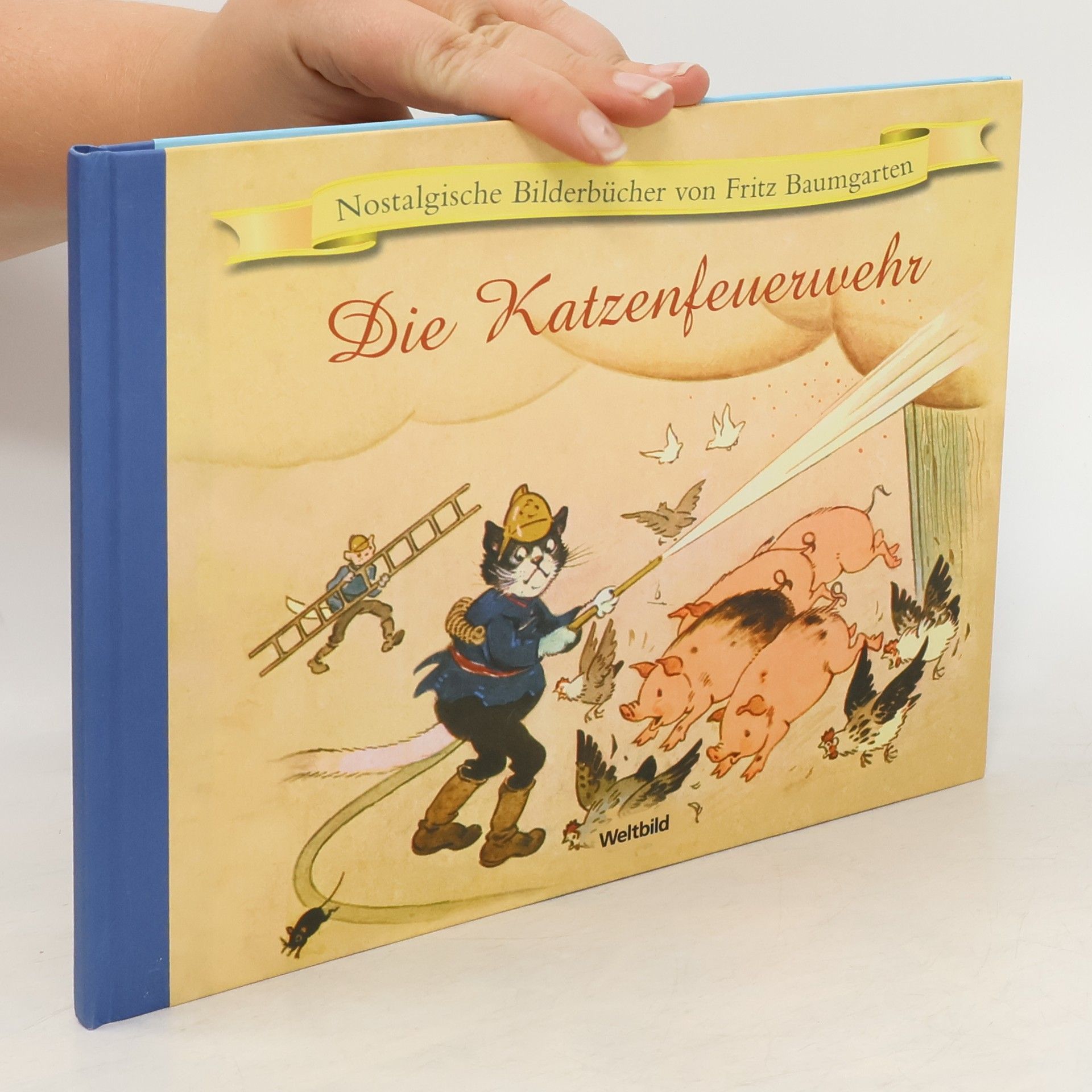 Friedrich Zöbigker Die Katzenfeuerwehr
