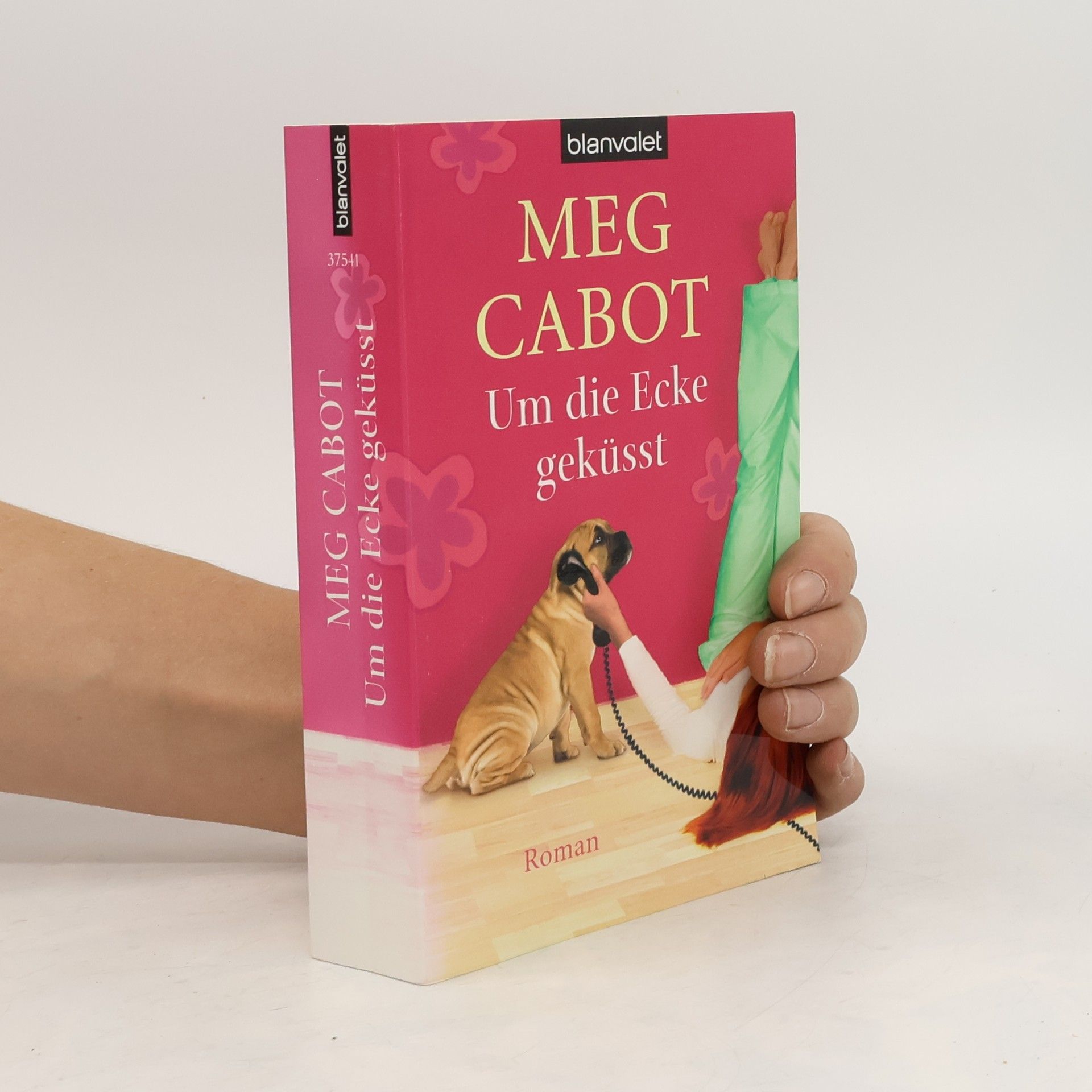 Meg Cabot Um die Ecke geküsst