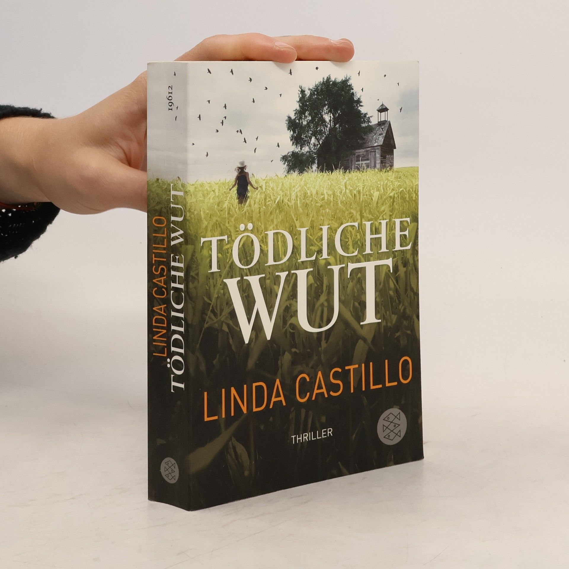 Linda Castillo Tödliche Wut