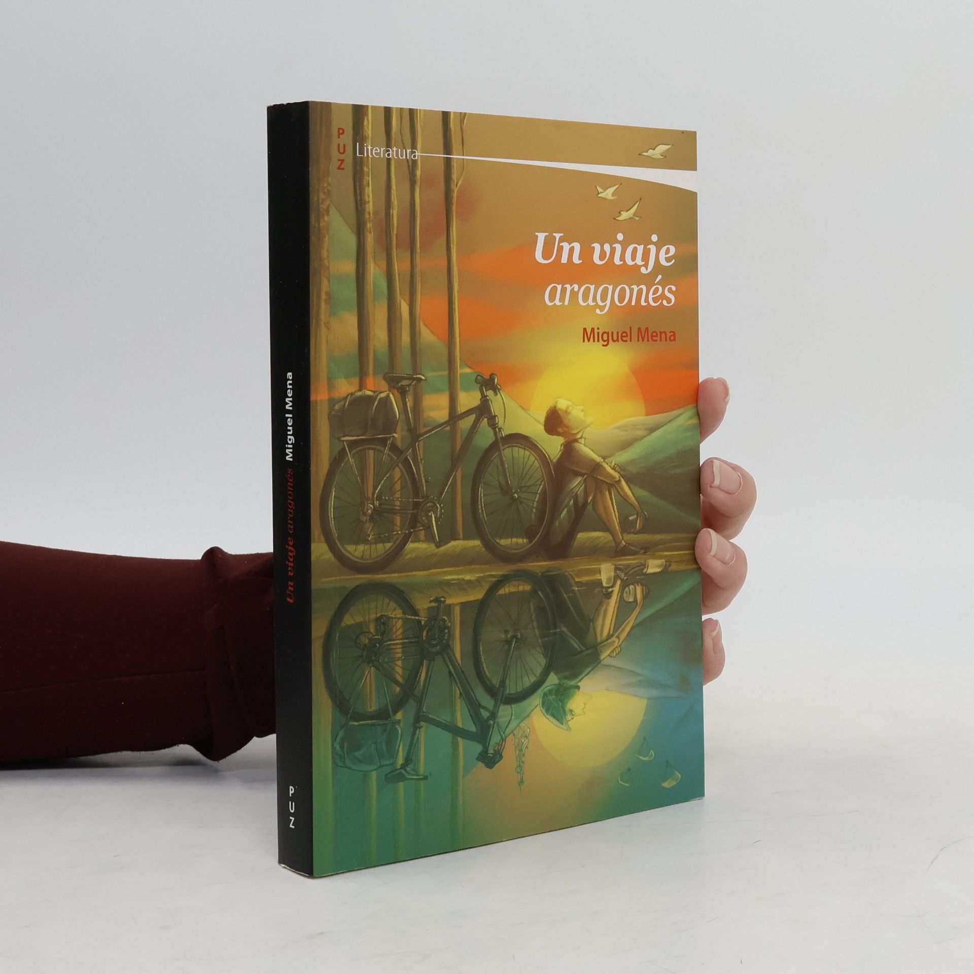 Miguel Mena Hierro Un viaje aragonés