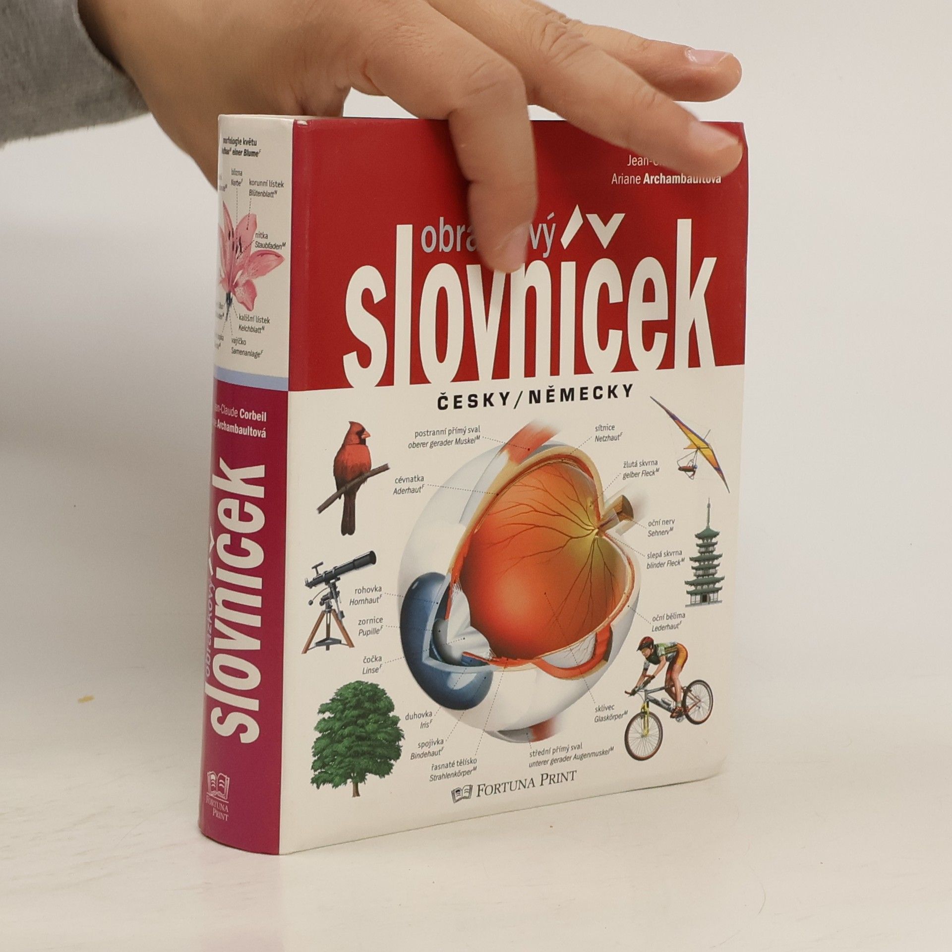 Obrázkový slovníček česky/německy