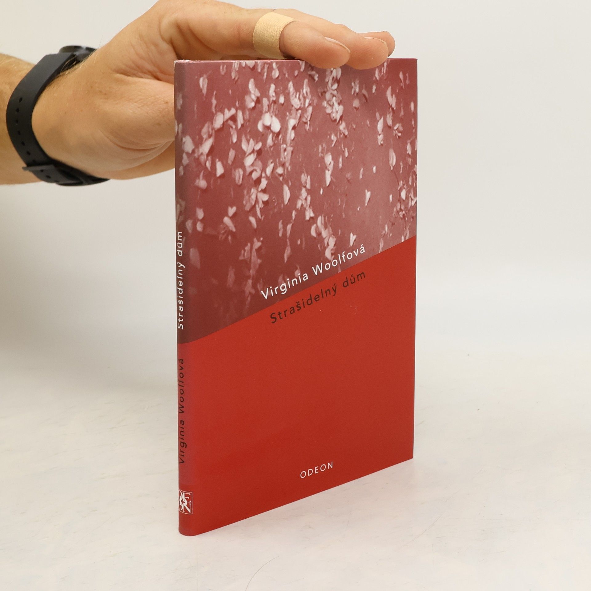 Virginia Woolf Strašidelný dům