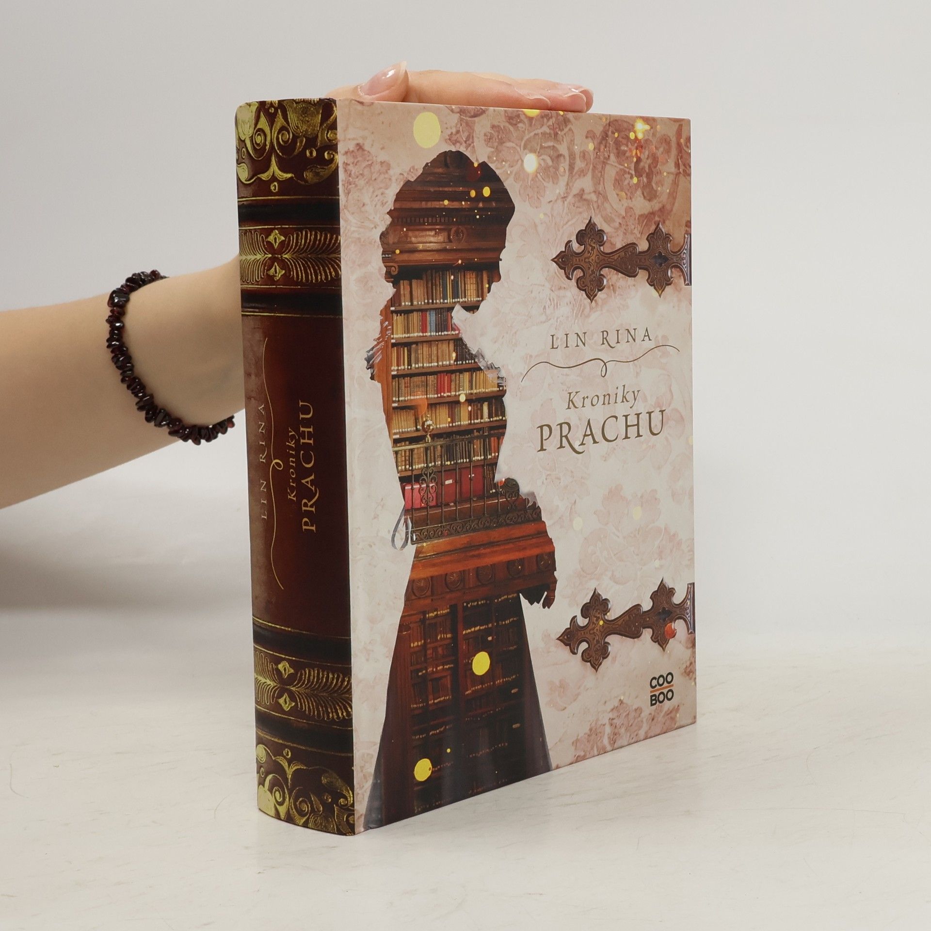 Lin Rina Kroniky Prachu