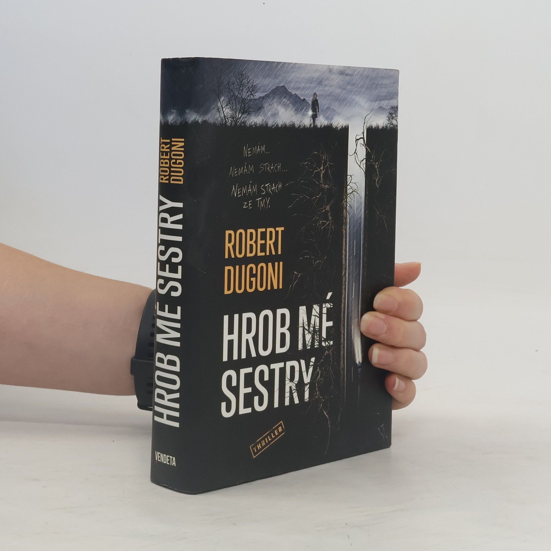Hrob mé sestry