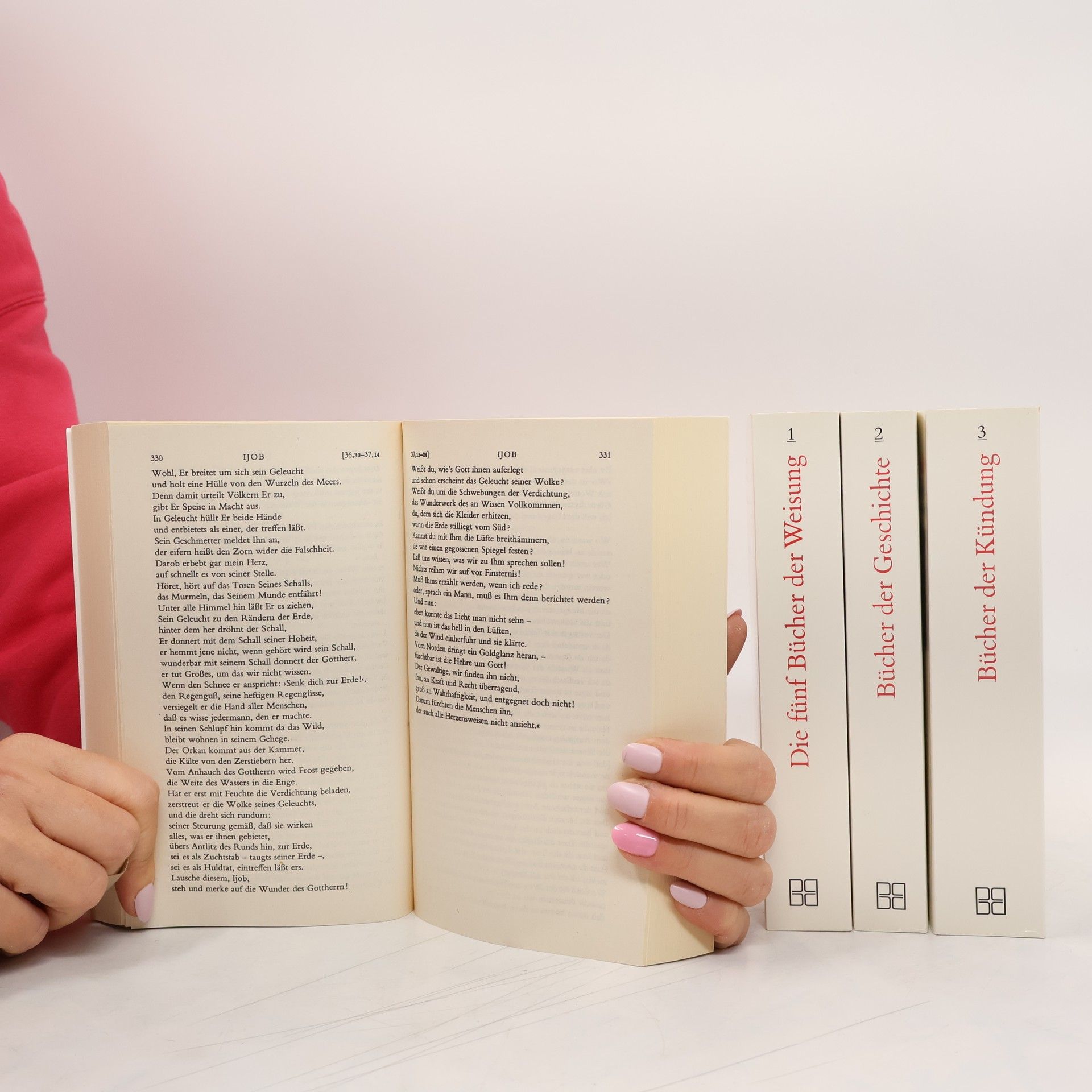 kolektiv Die Schrift