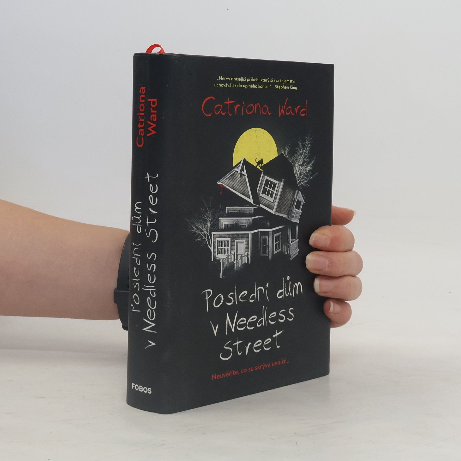 Catriona Ward Poslední dům v Needless Street